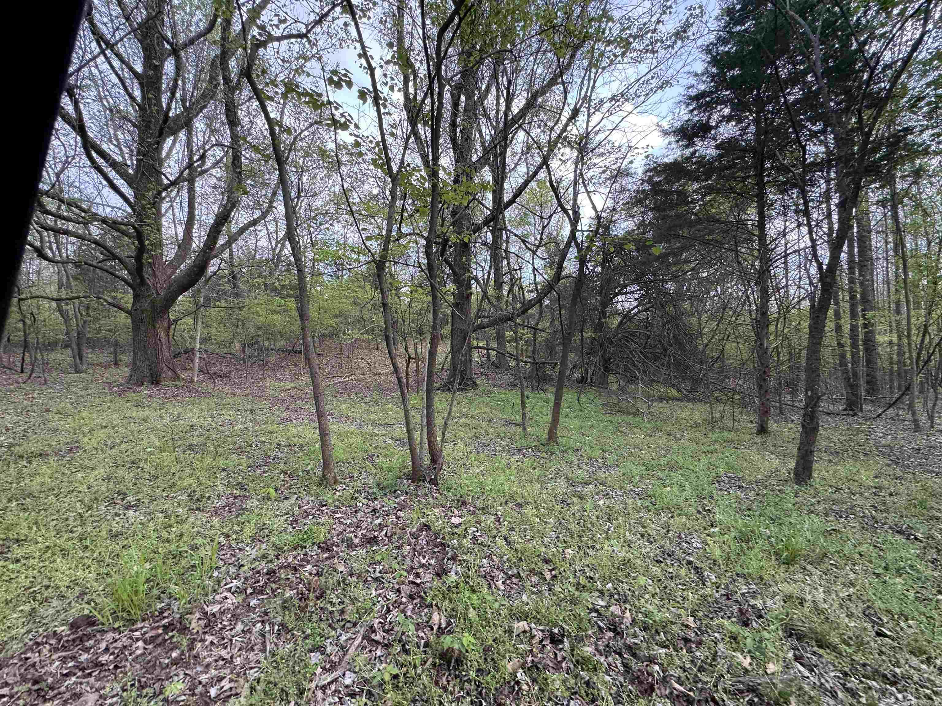 0 CR 455  Piggott, AR