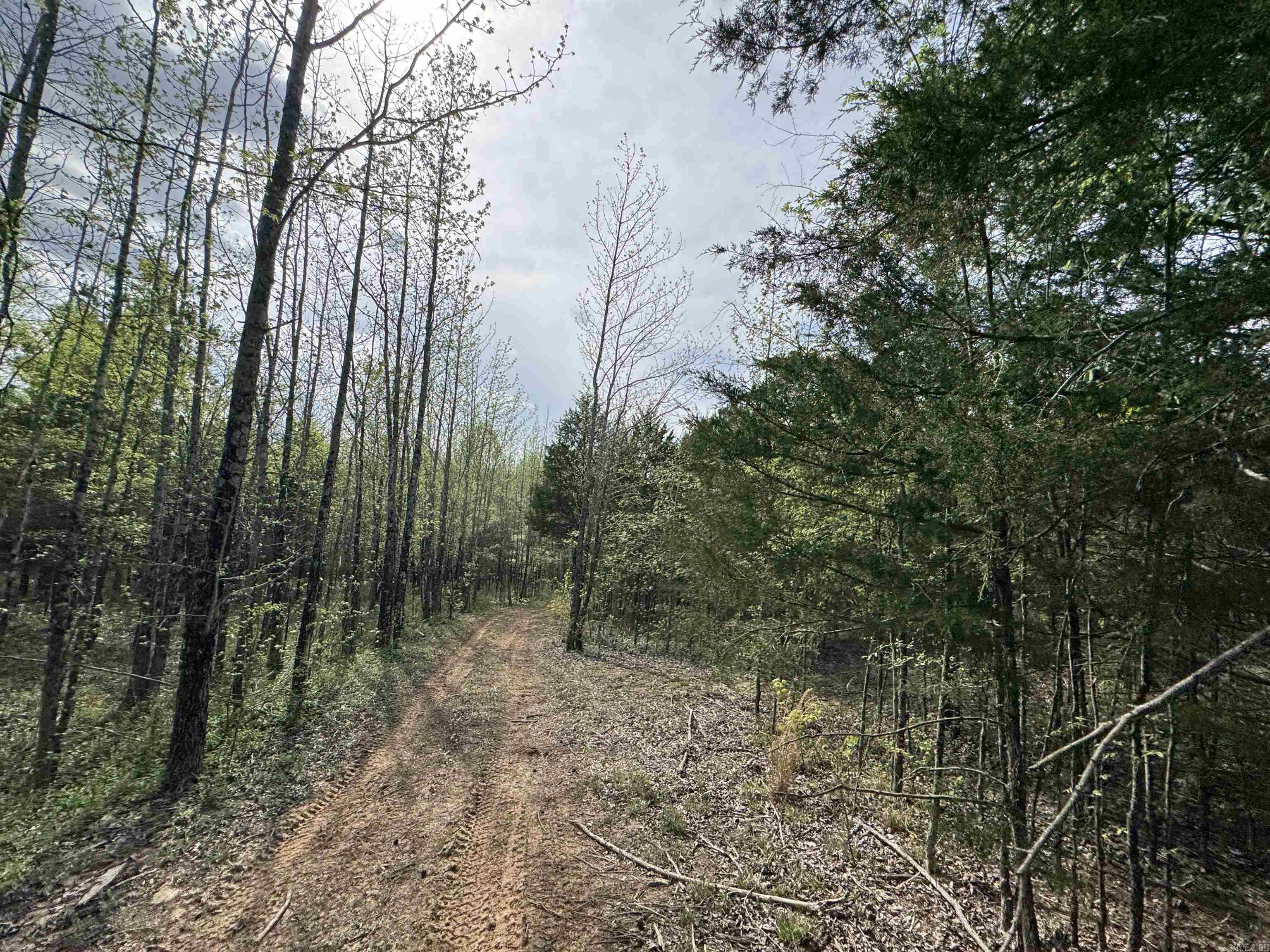 0 CR 455  Piggott, AR
