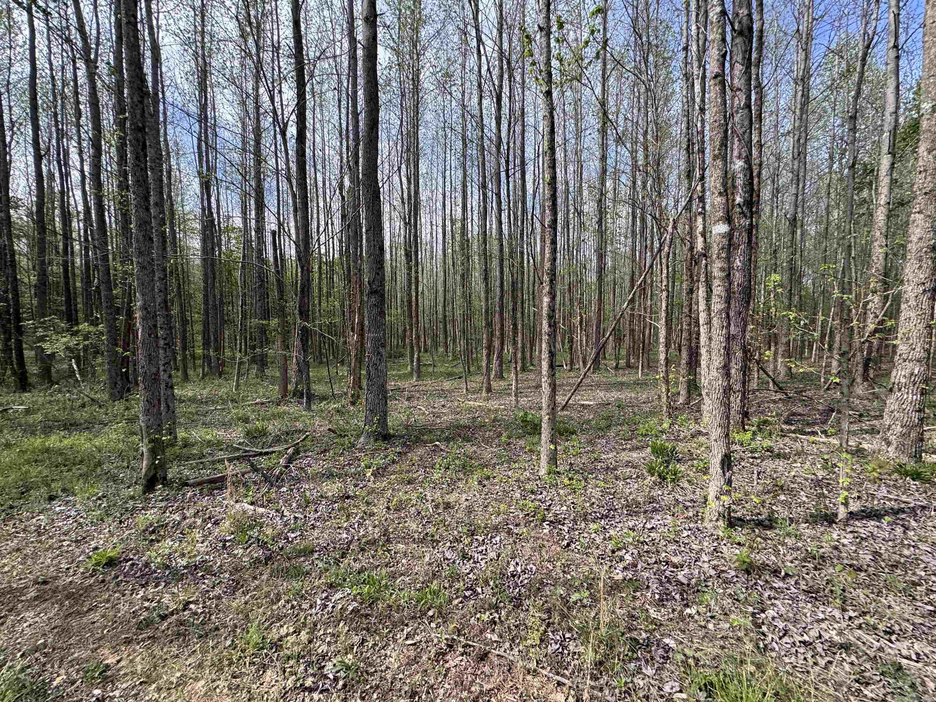 0 CR 455  Piggott, AR