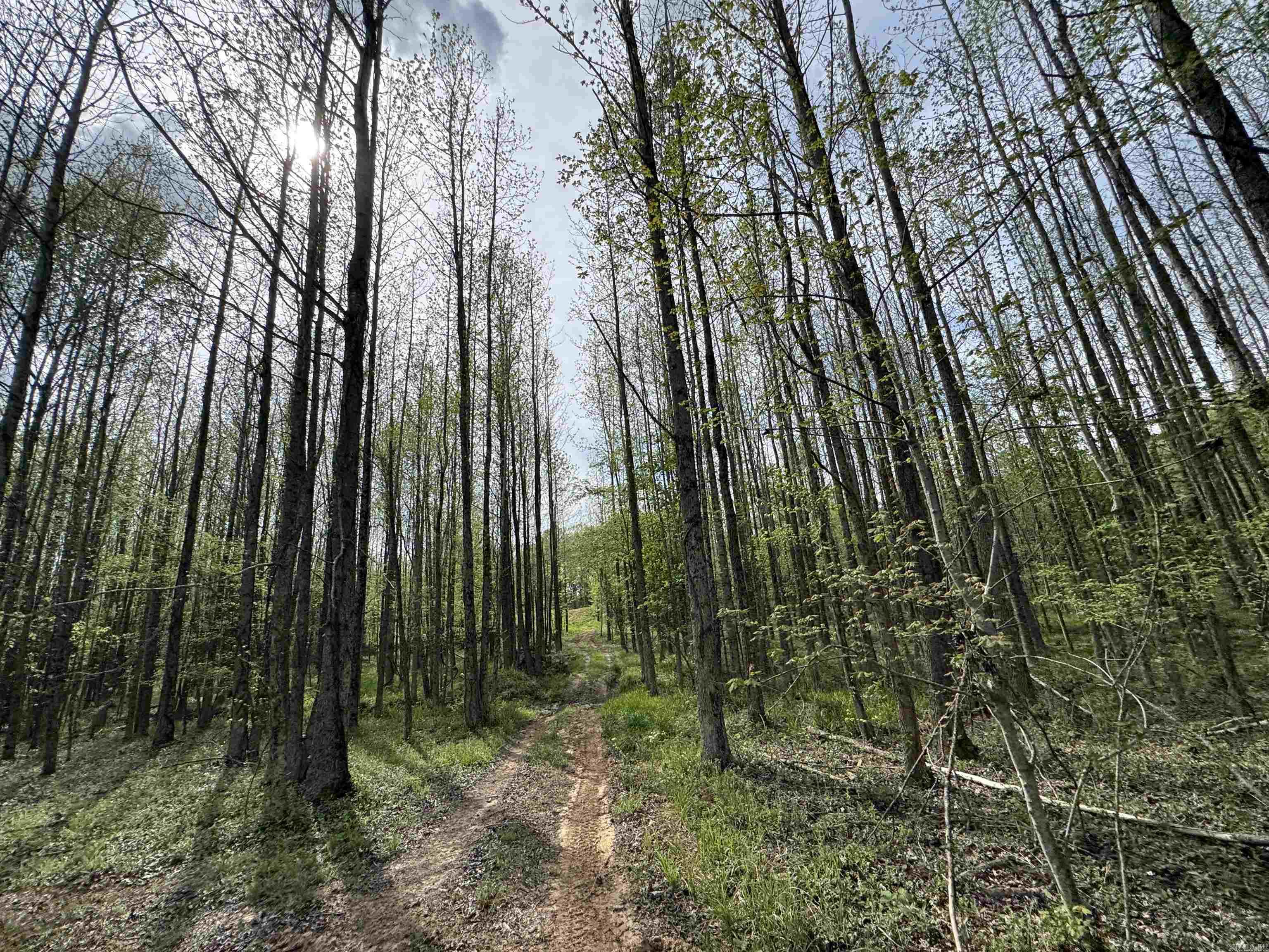 0 CR 455  Piggott, AR