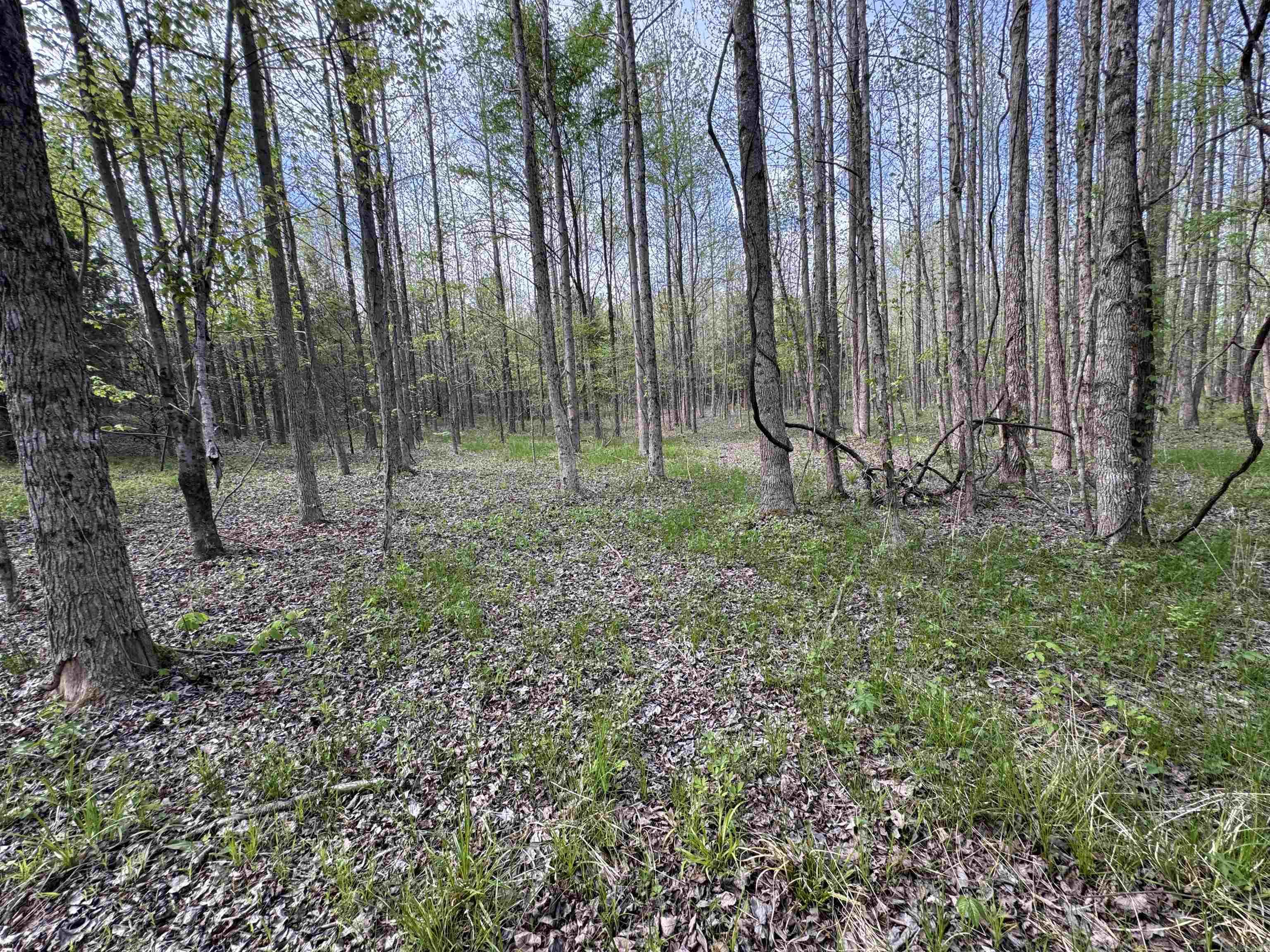 0 CR 455  Piggott, AR