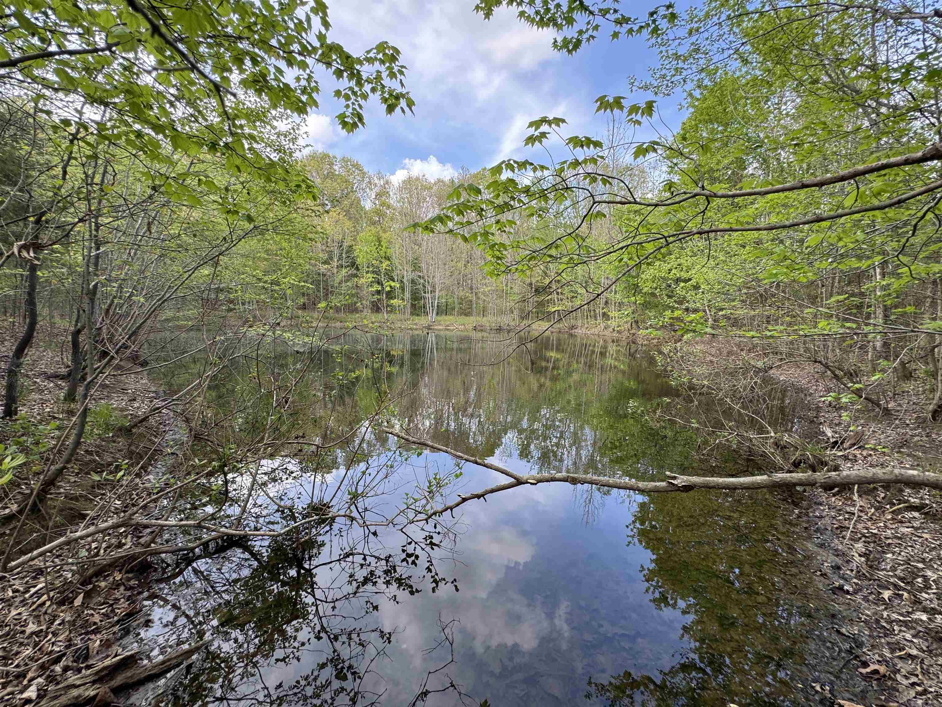0 CR 455  Piggott, AR