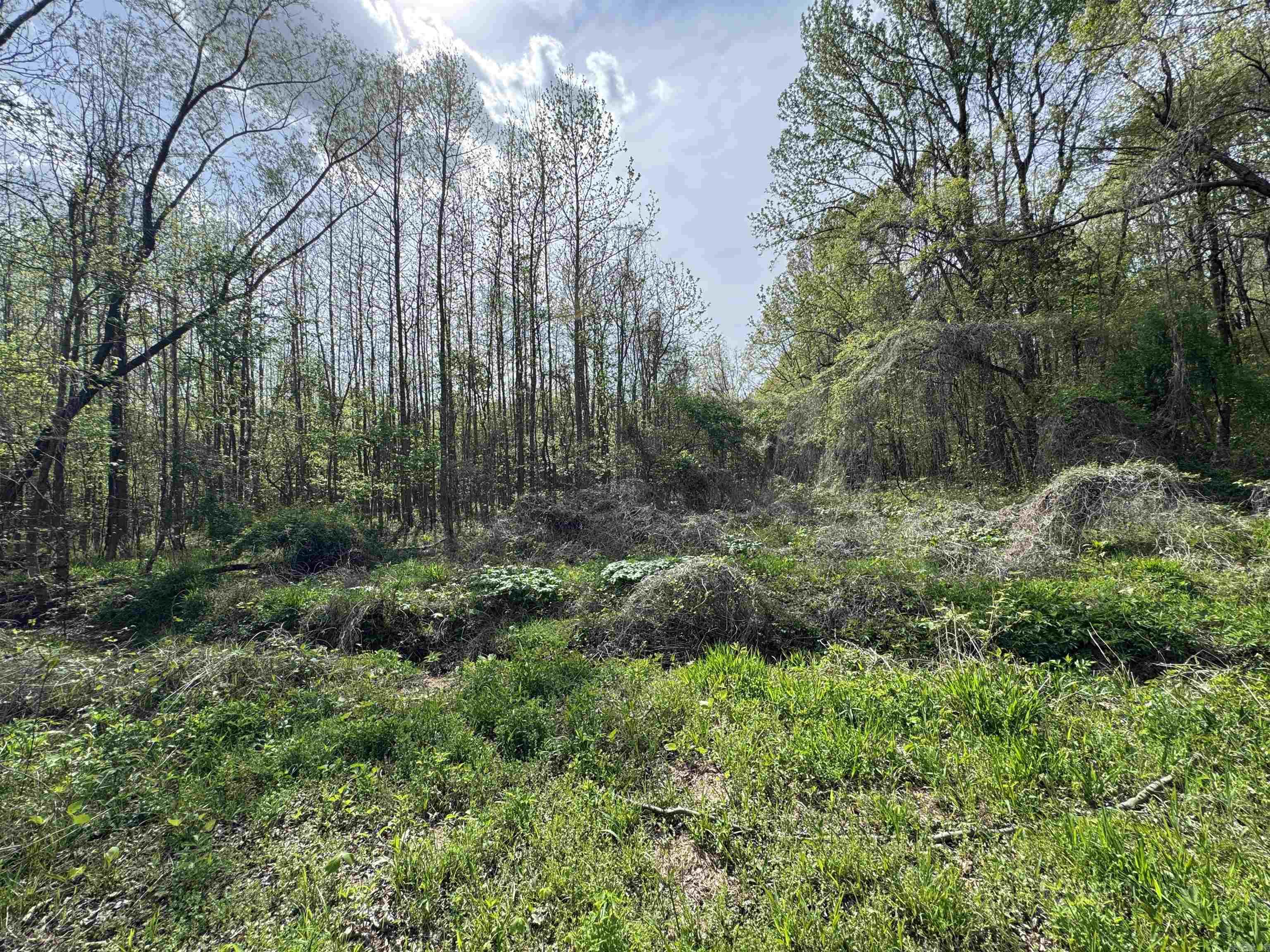 0 CR 455  Piggott, AR