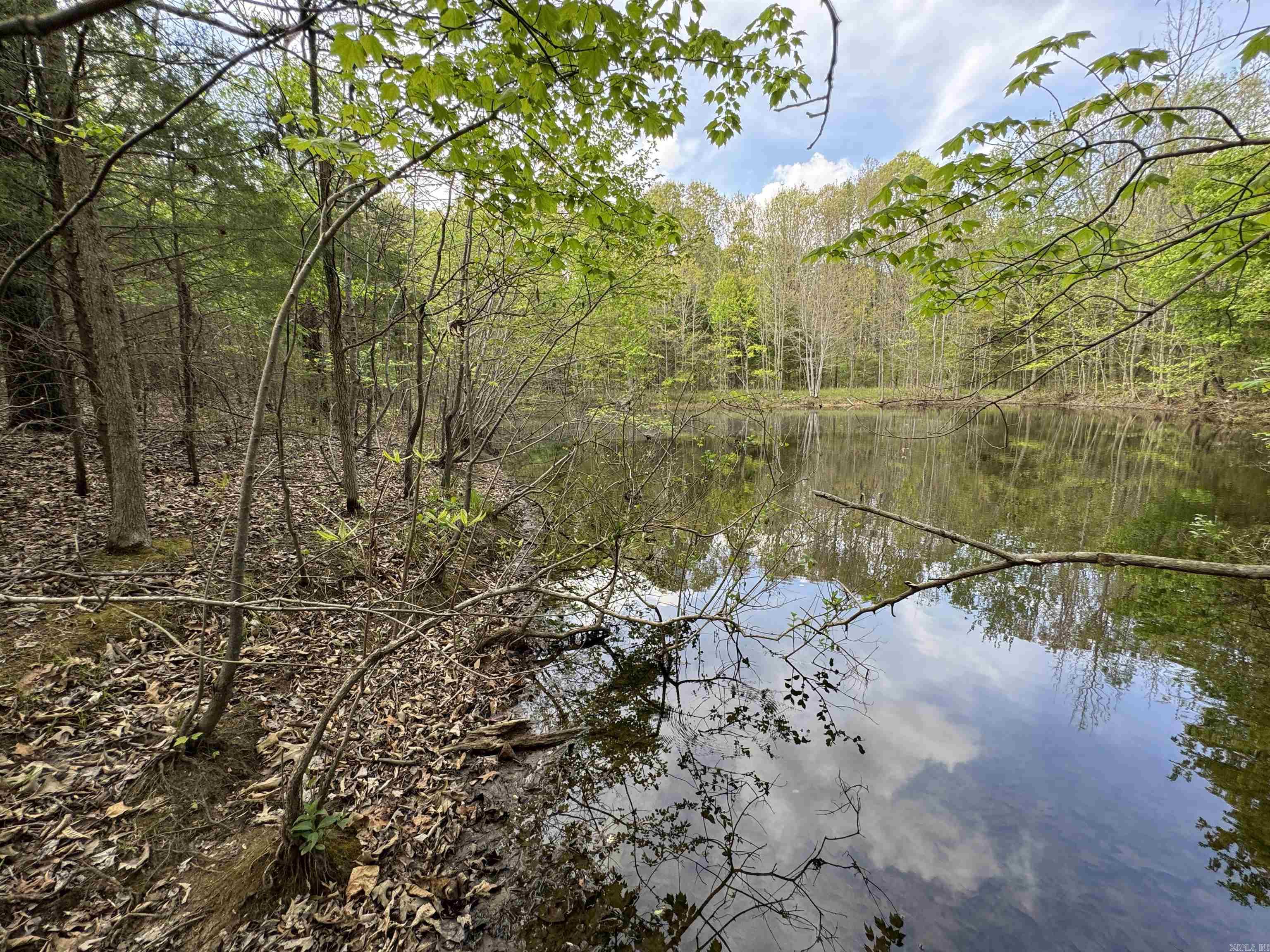 0 CR 455  Piggott, AR