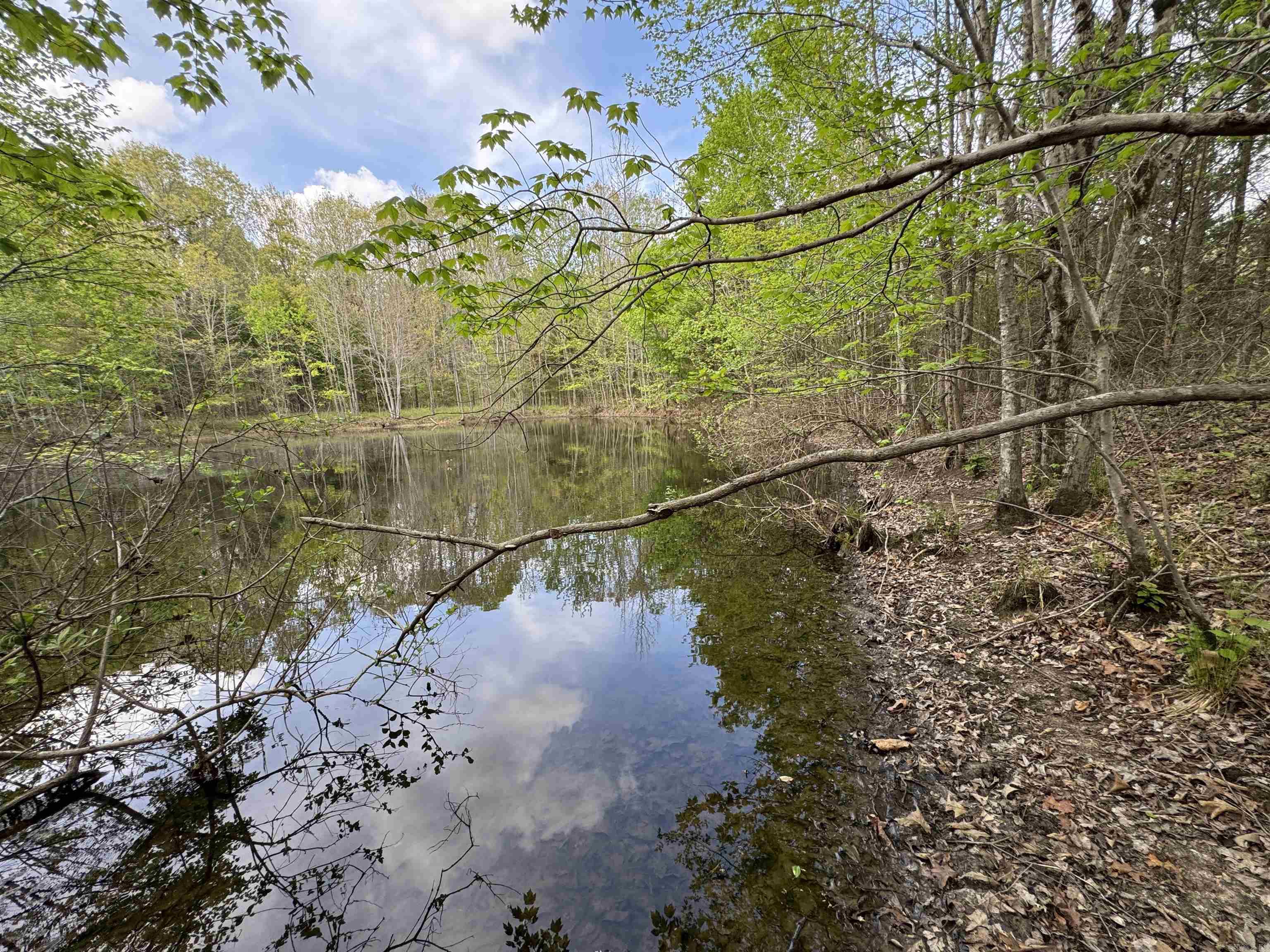 0 CR 455  Piggott, AR