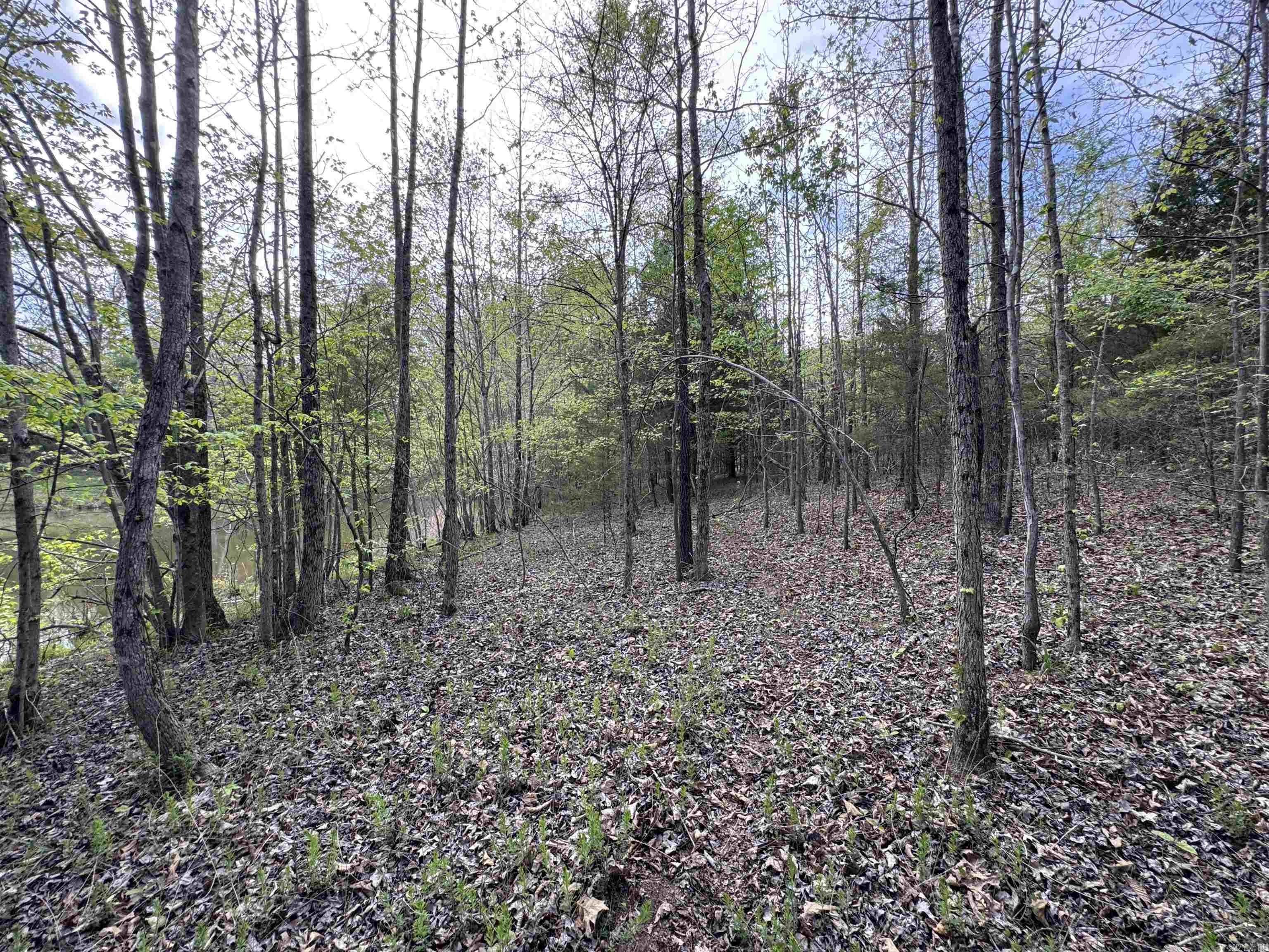 0 CR 455  Piggott, AR