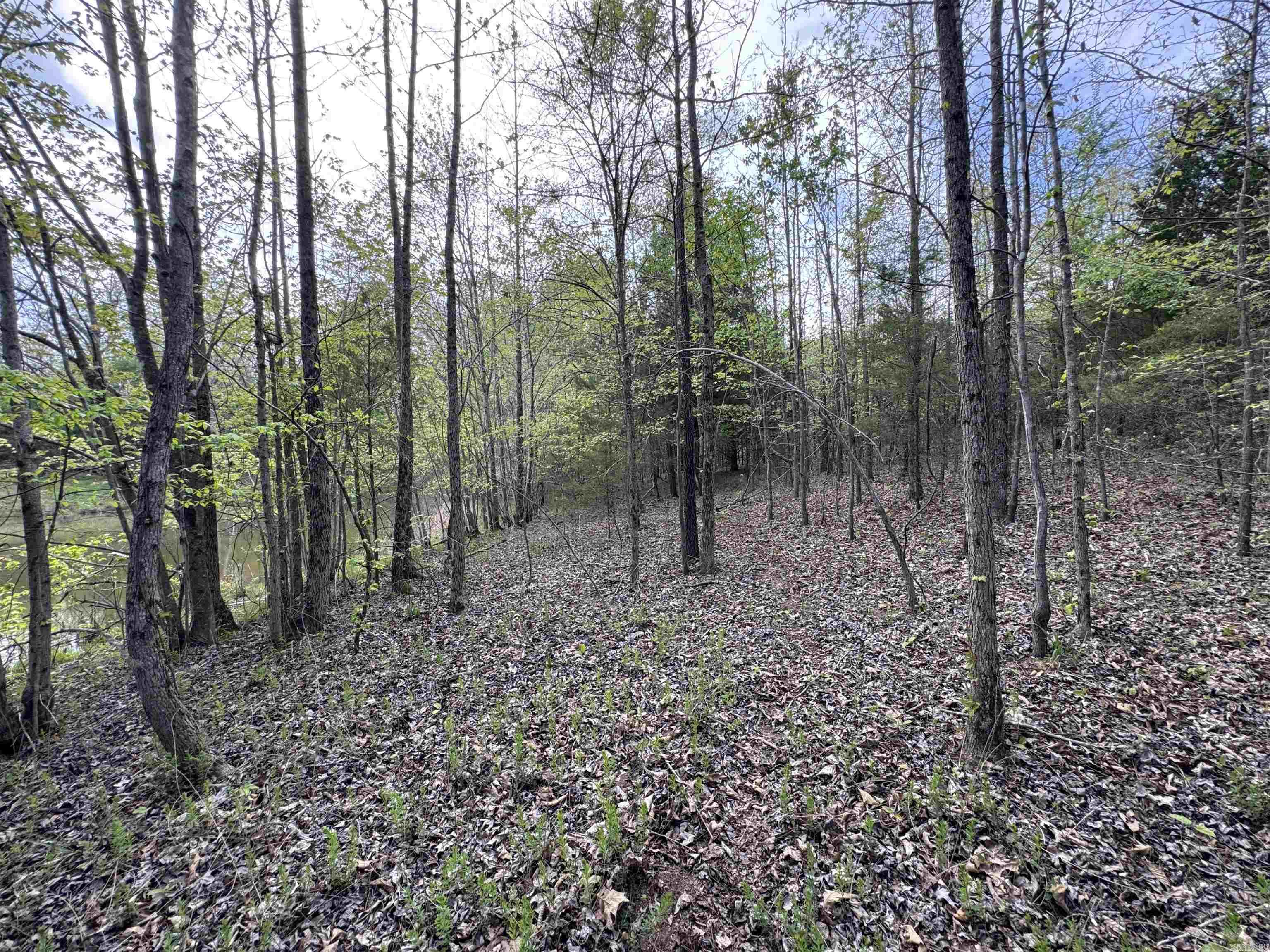 0 CR 455  Piggott, AR