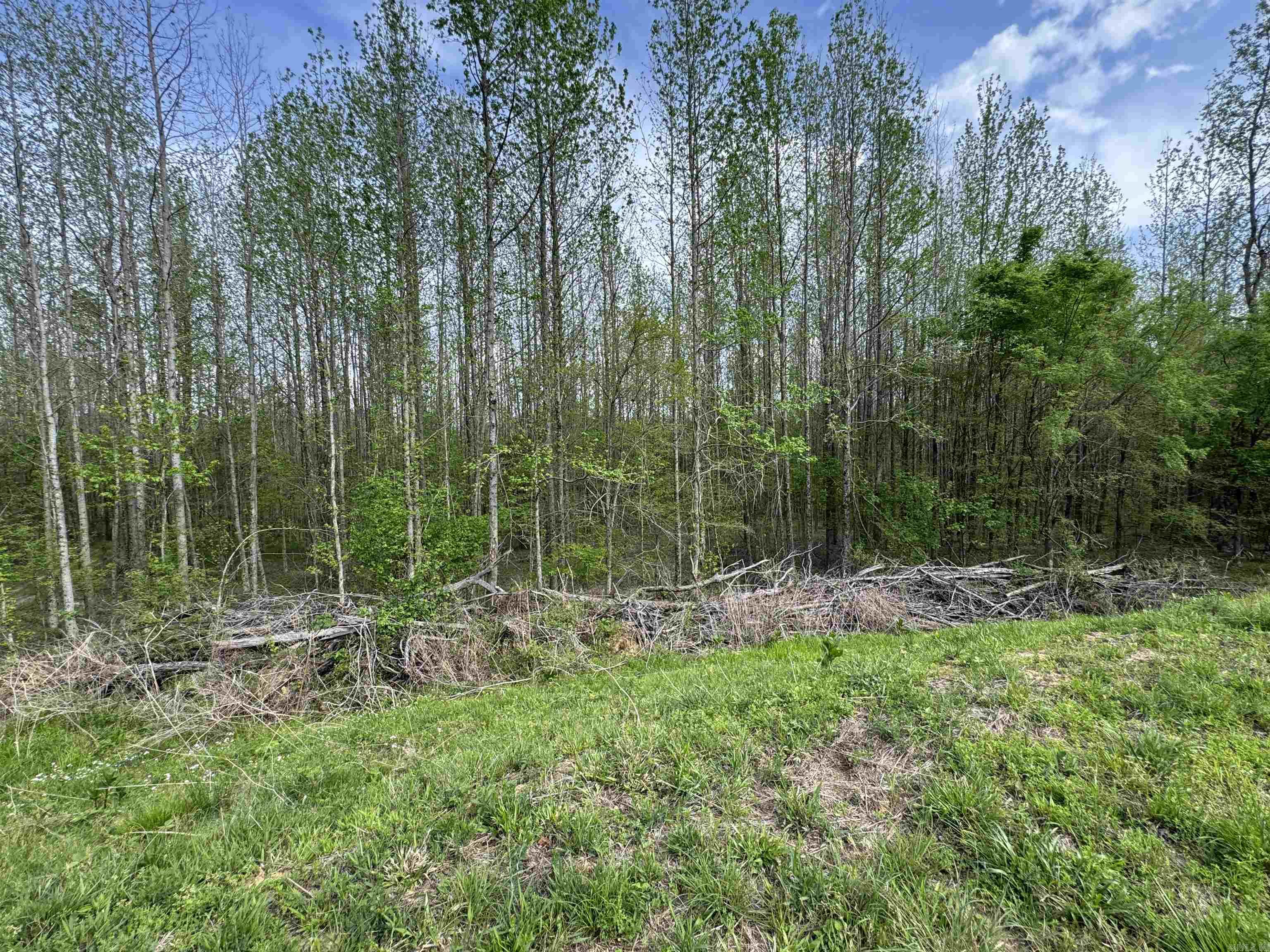 0 CR 455  Piggott, AR