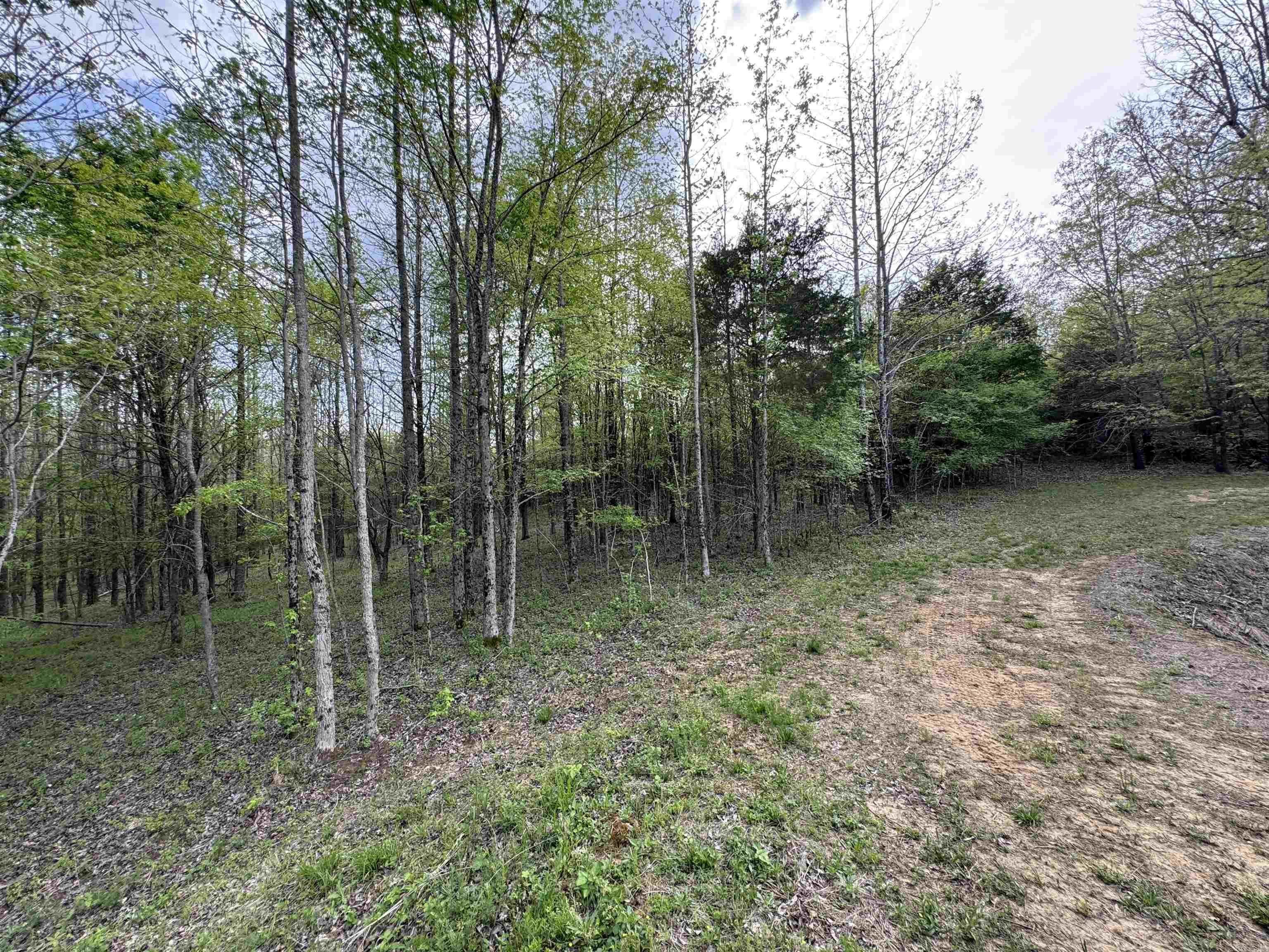0 CR 455  Piggott, AR