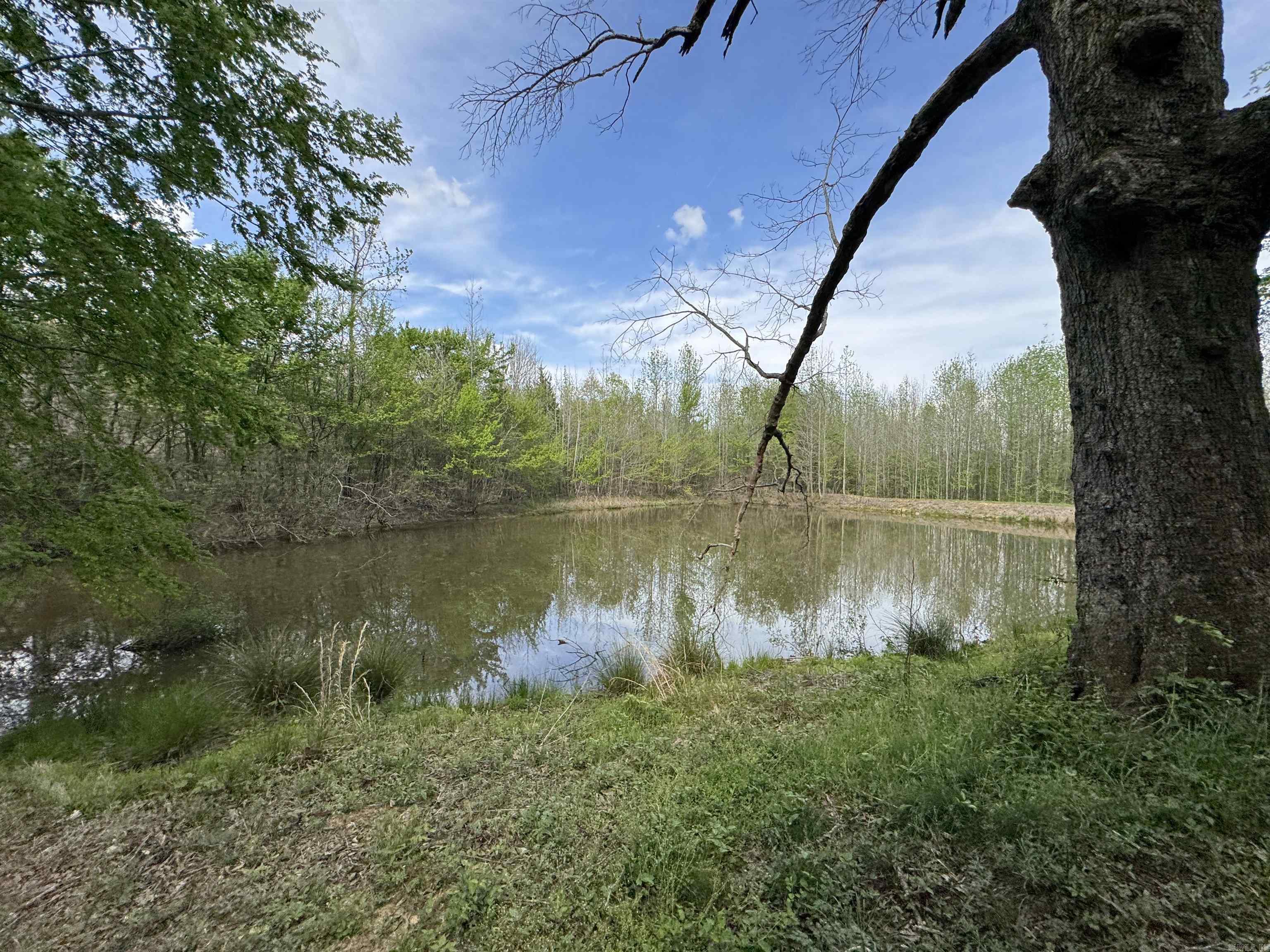 0 CR 455  Piggott, AR