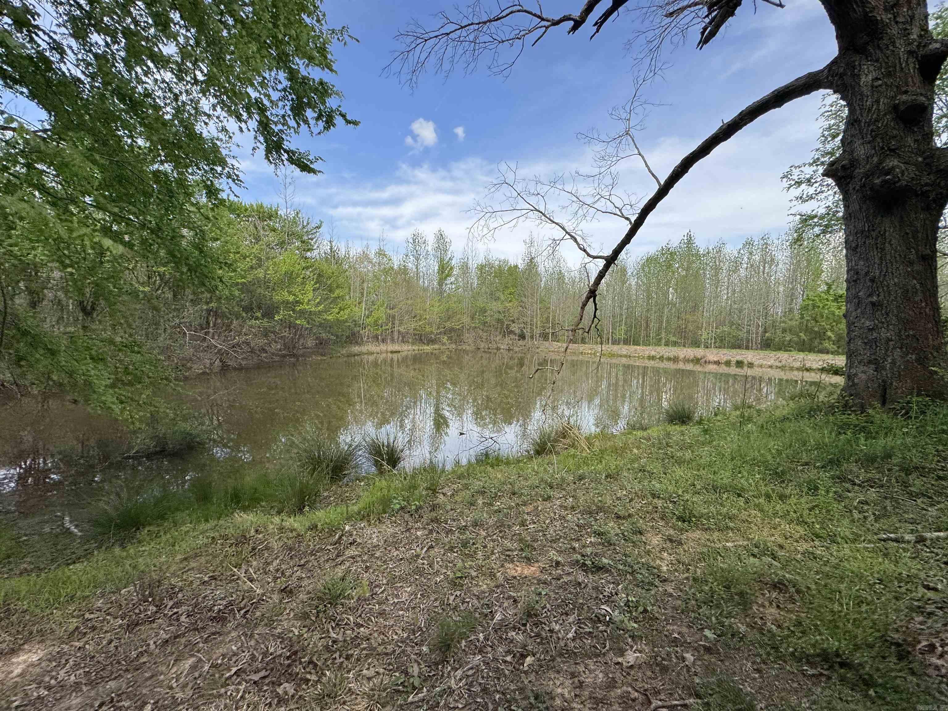 0 CR 455  Piggott, AR