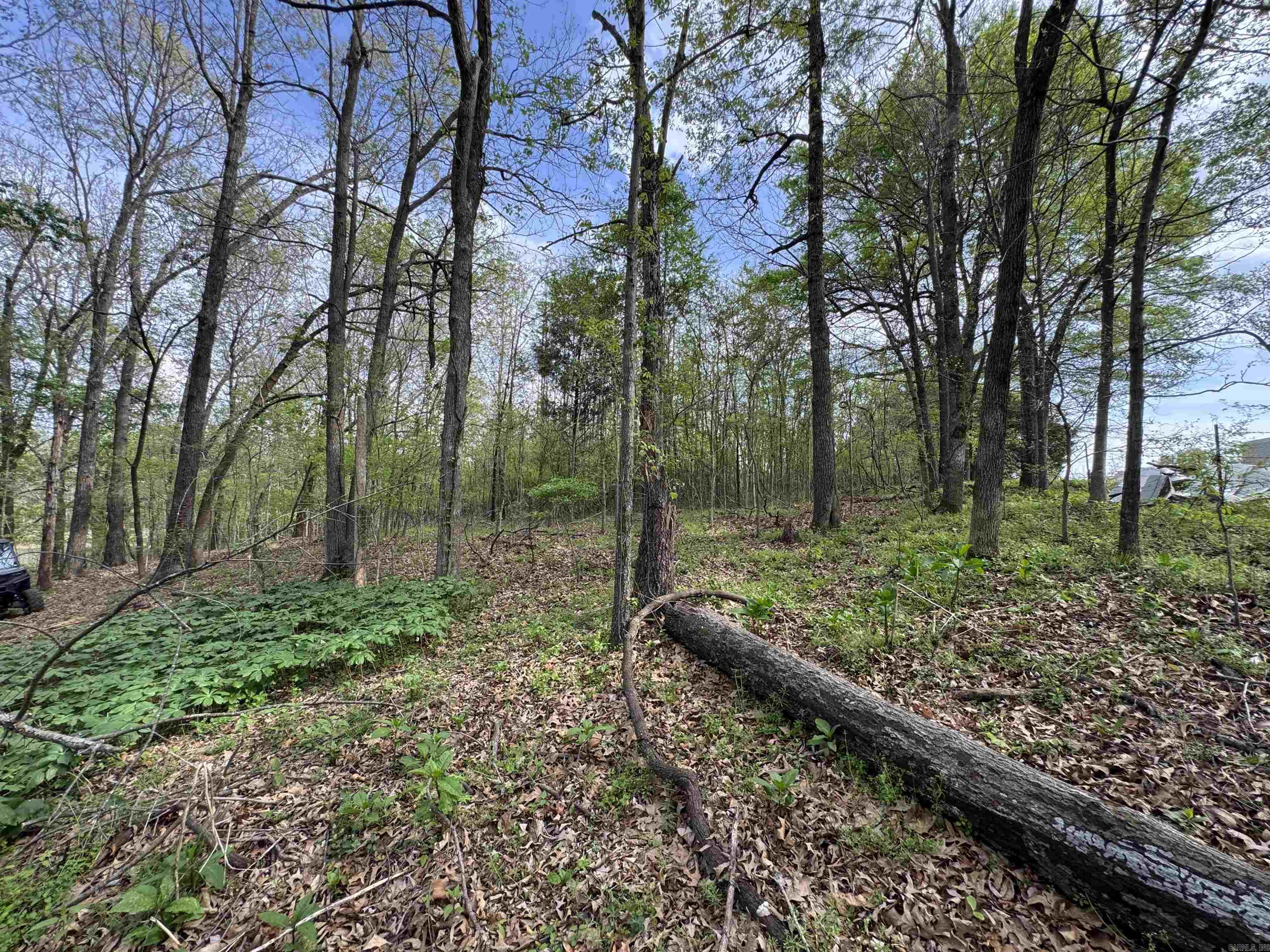 0 CR 455  Piggott, AR