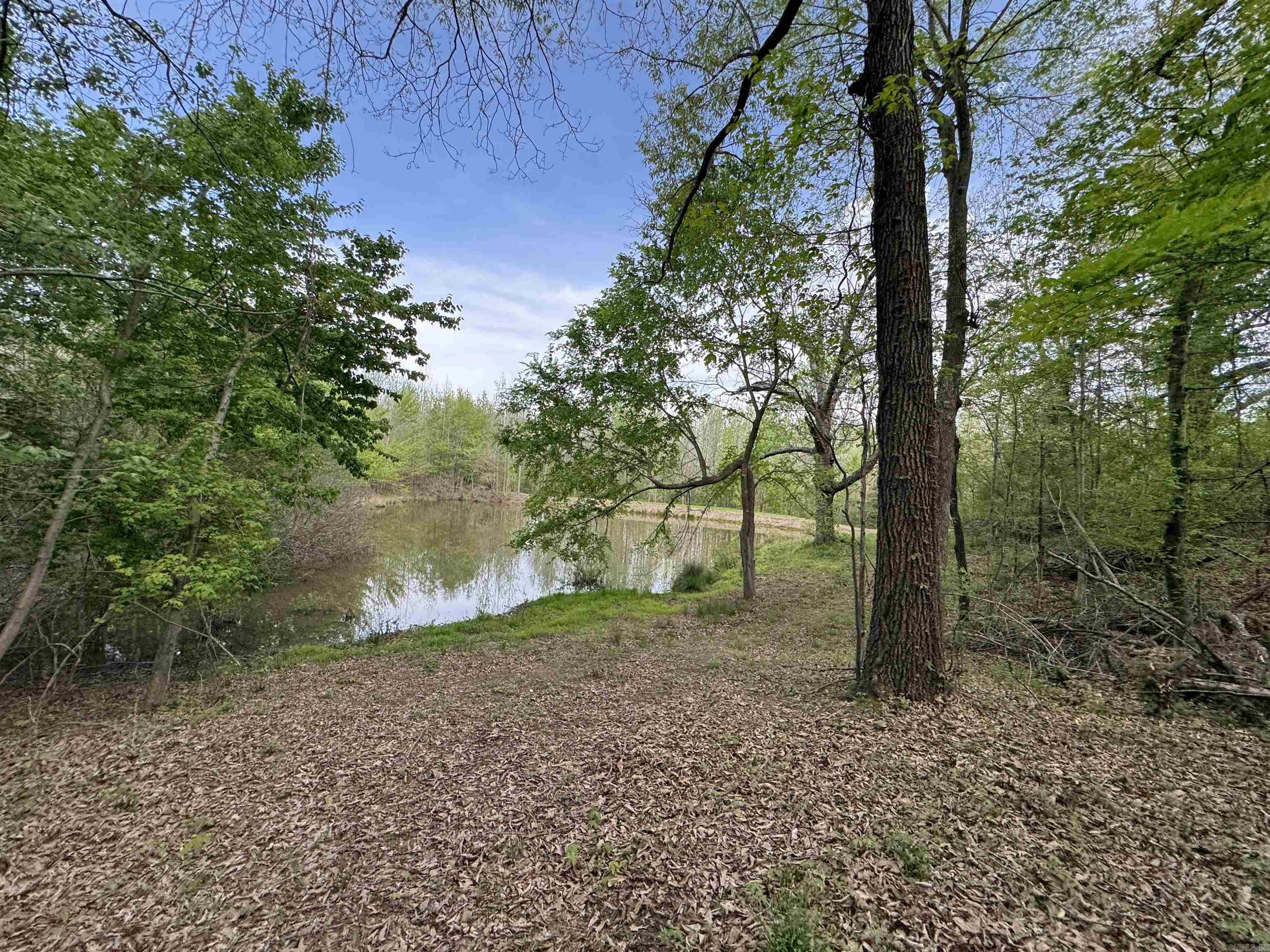 0 CR 455  Piggott, AR