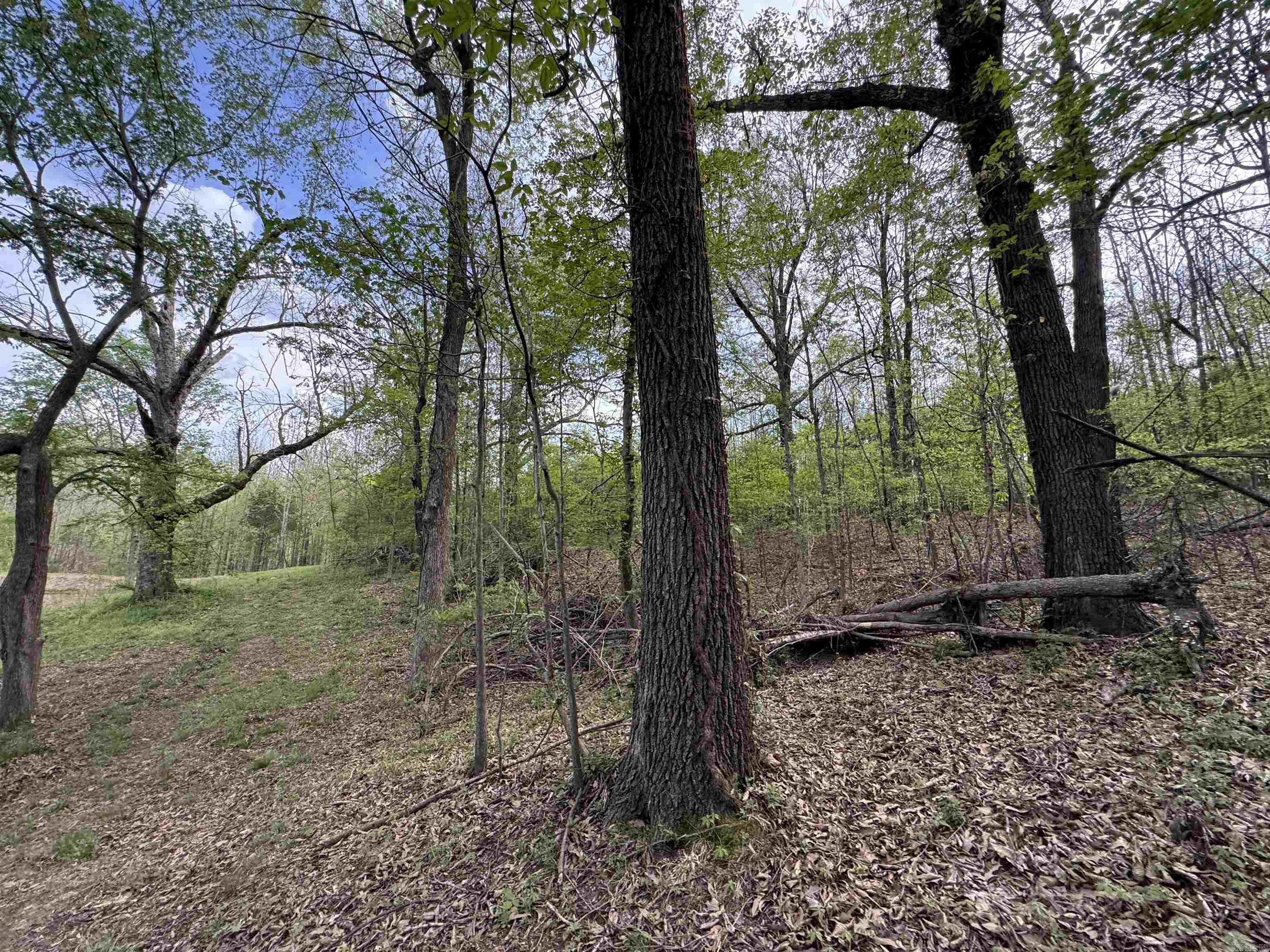 0 CR 455  Piggott, AR
