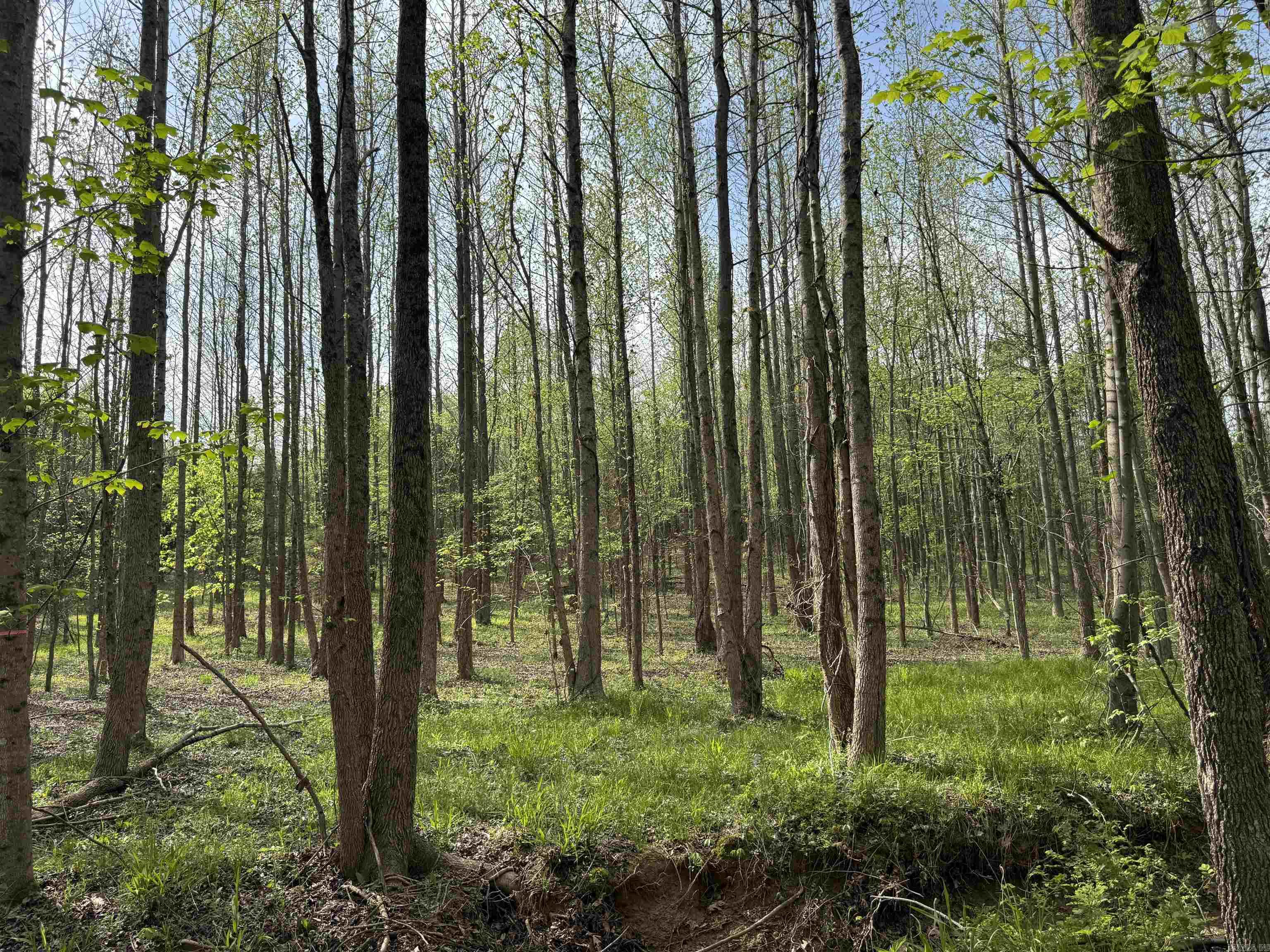 0 CR 455  Piggott, AR