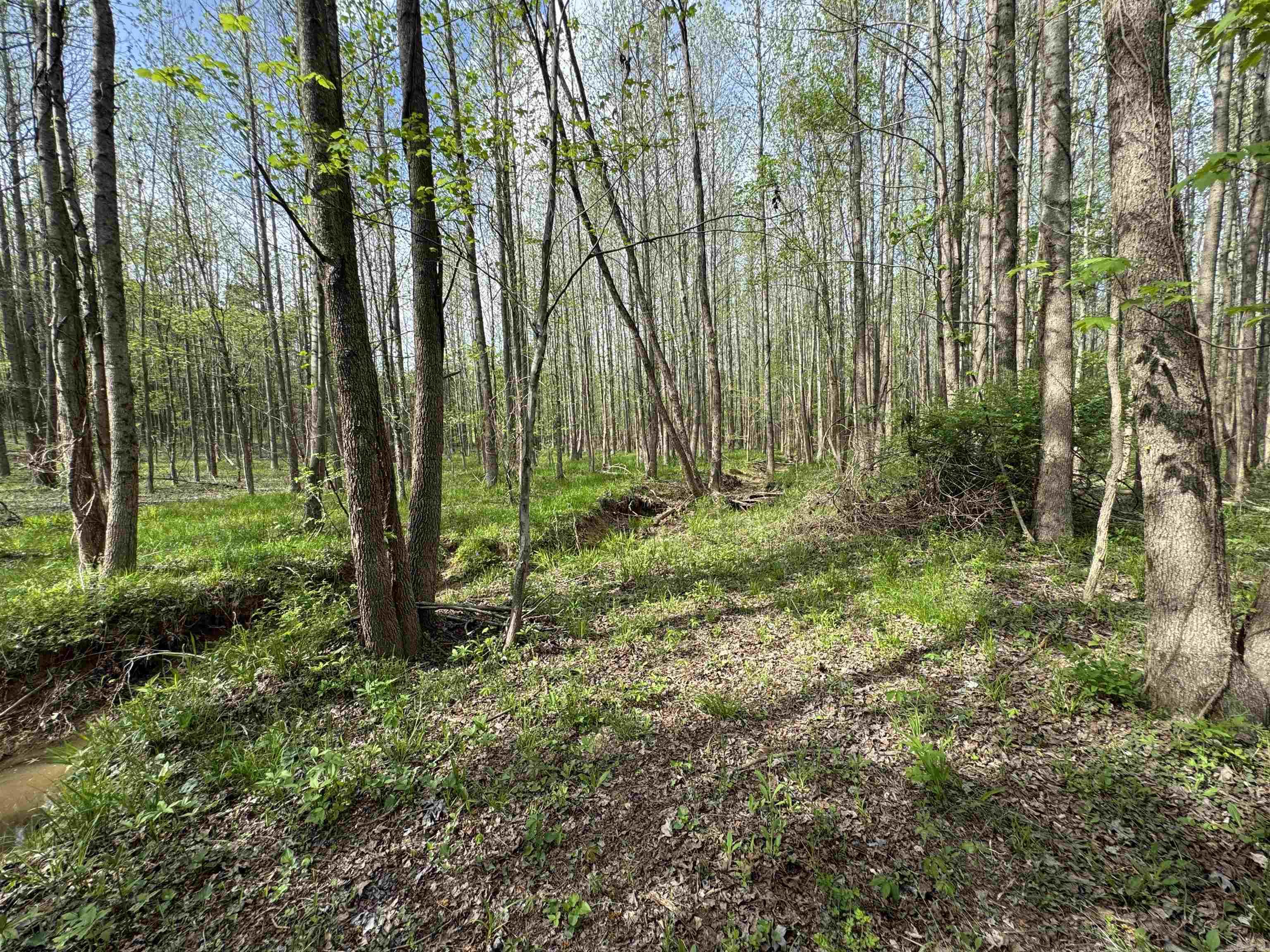 0 CR 455  Piggott, AR