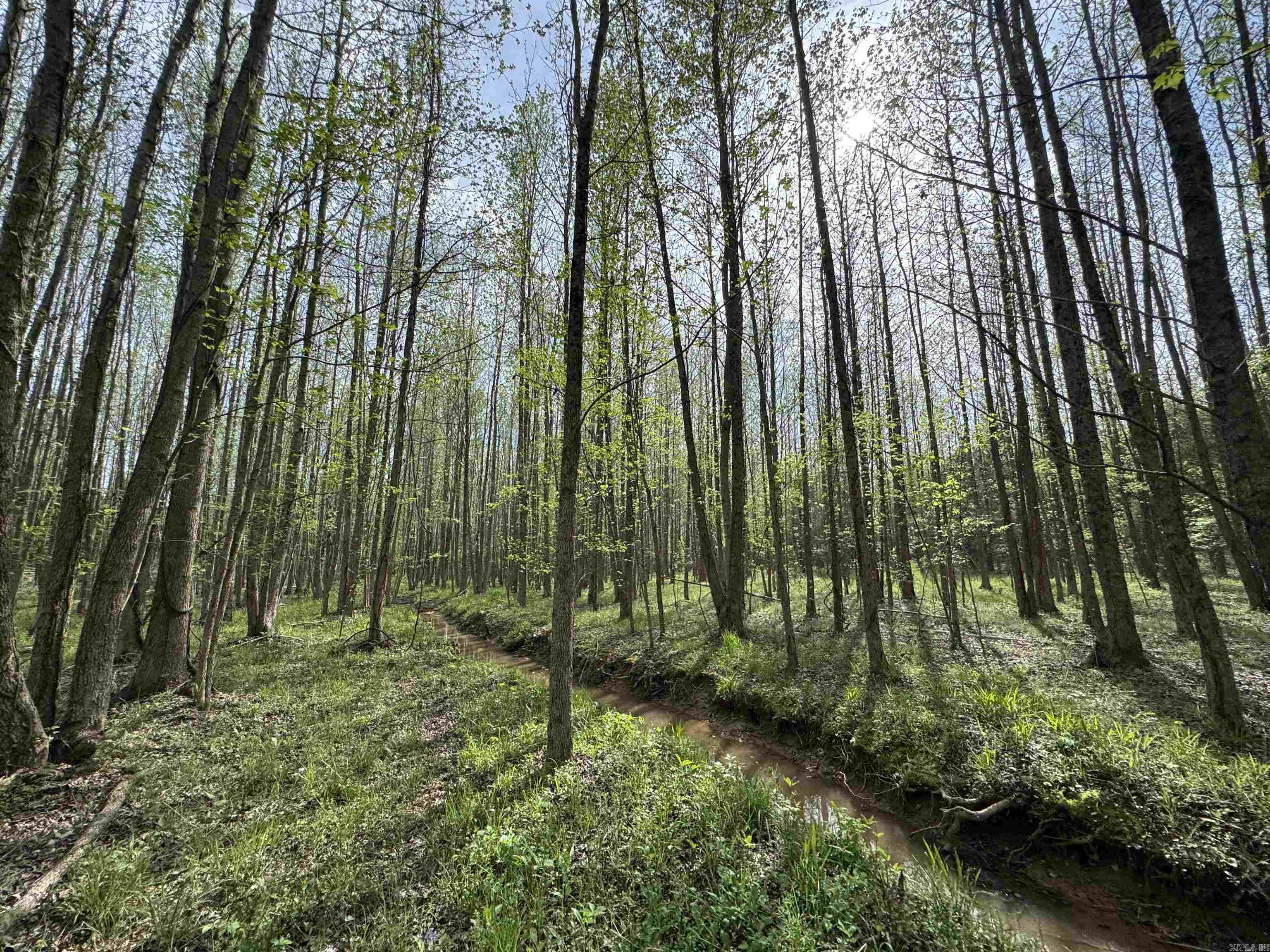 0 CR 455  Piggott, AR