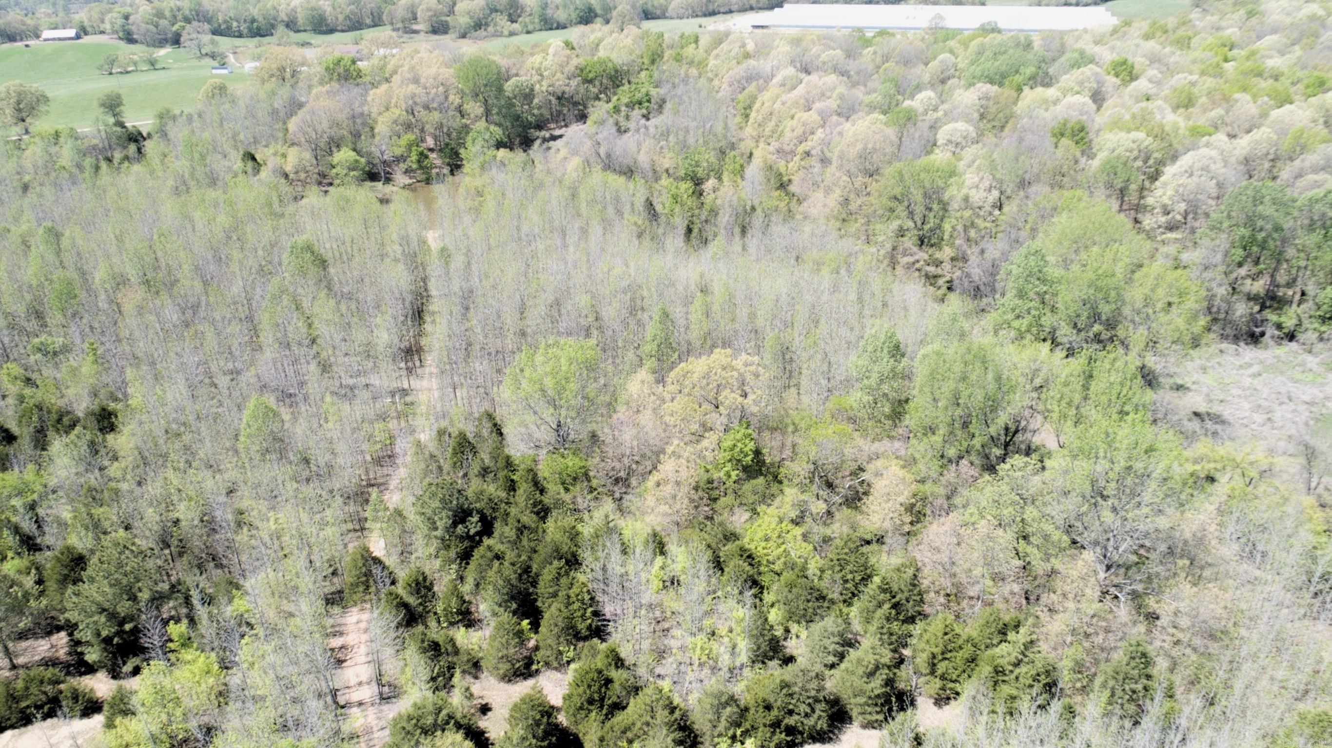 0 CR 455  Piggott, AR
