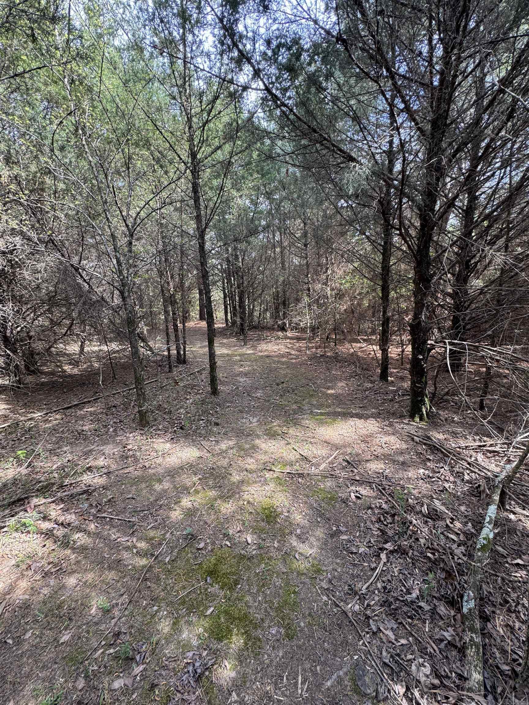 0 CR 455  Piggott, AR
