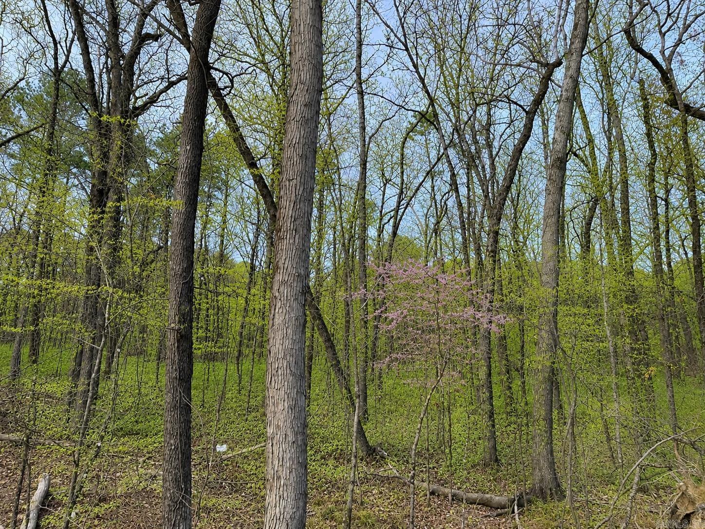 7166 Moon View Place Alexander, AR 72019