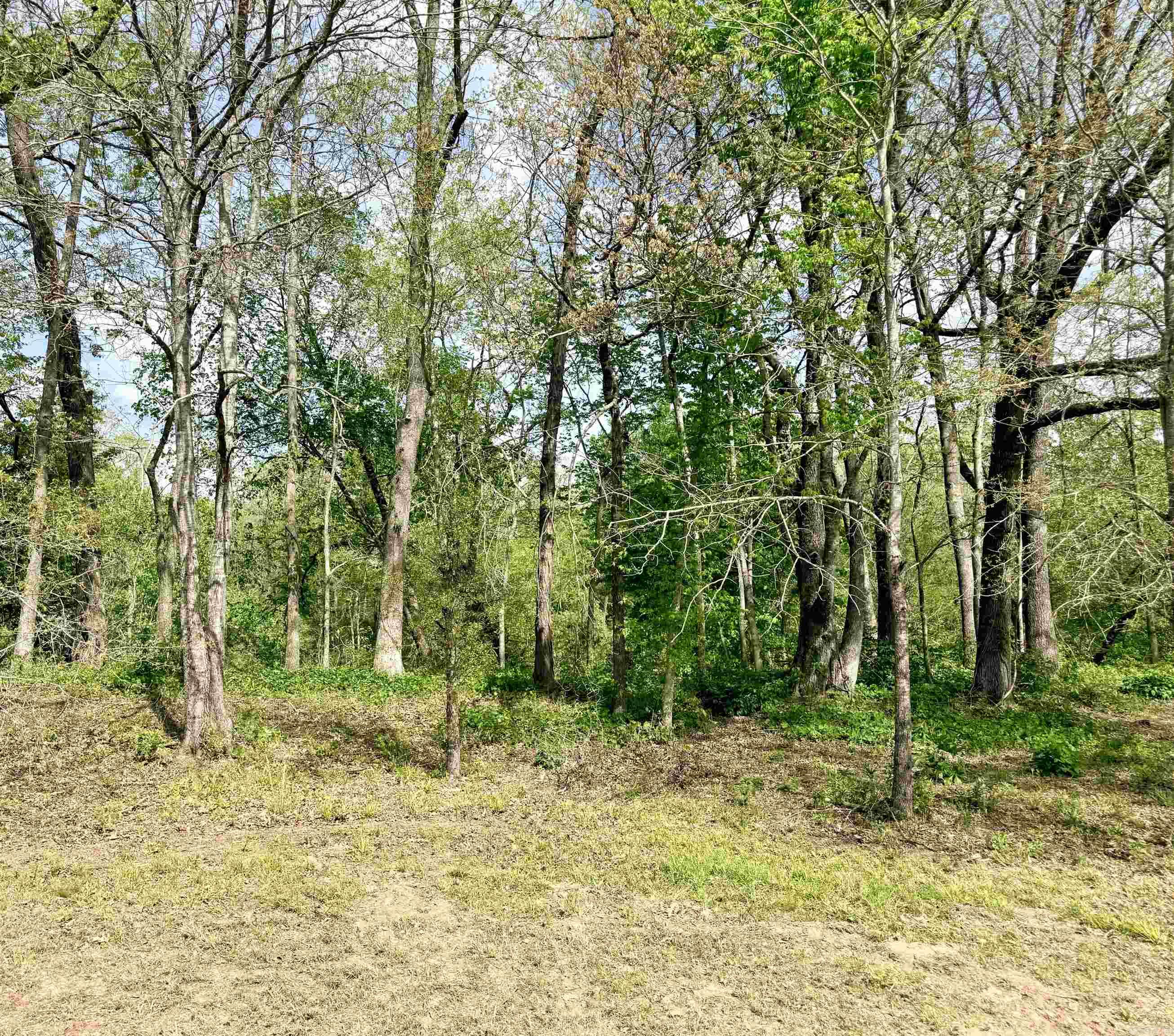 104A Adams  Pangburn, AR