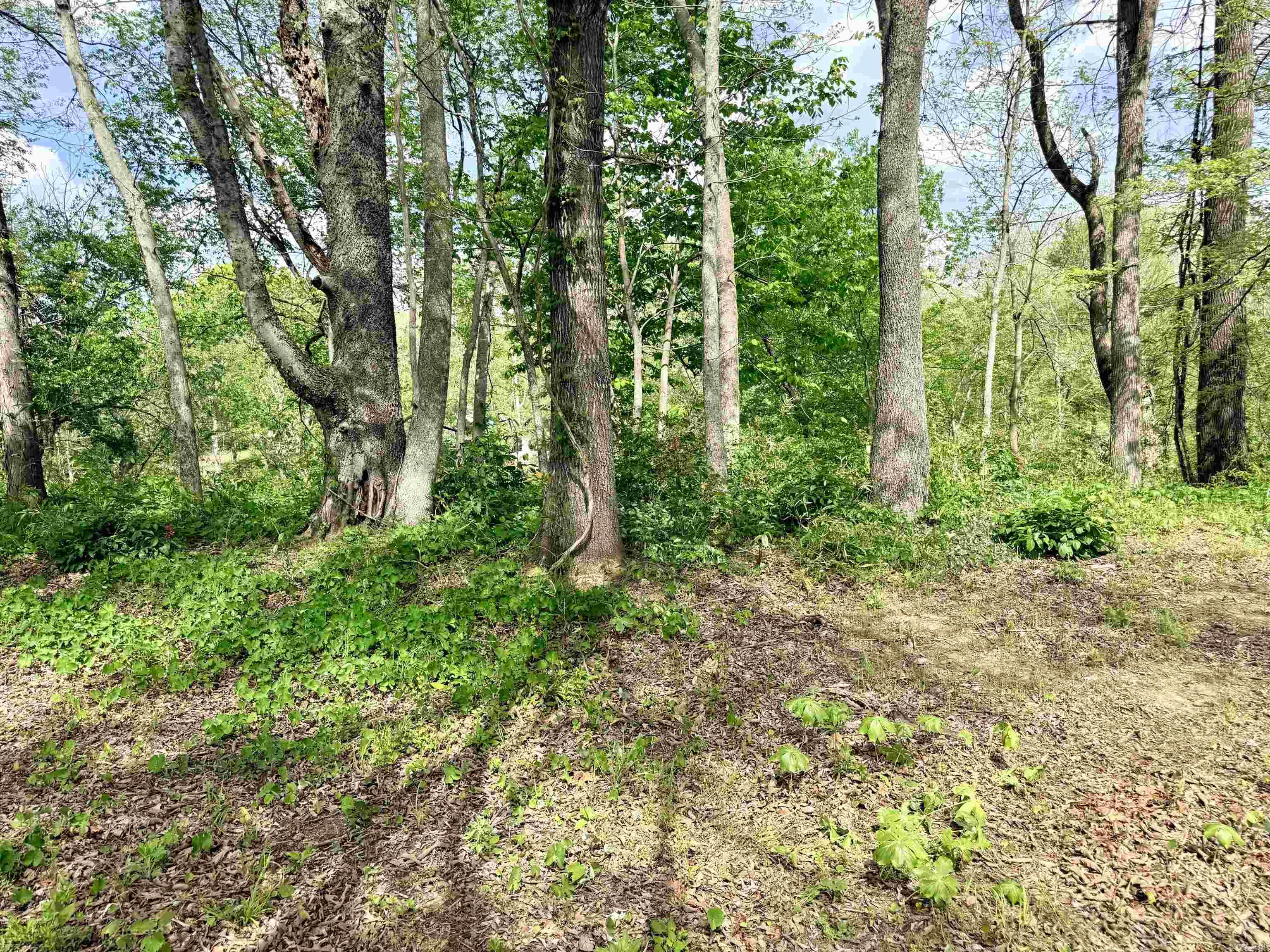 104A Adams  Pangburn, AR