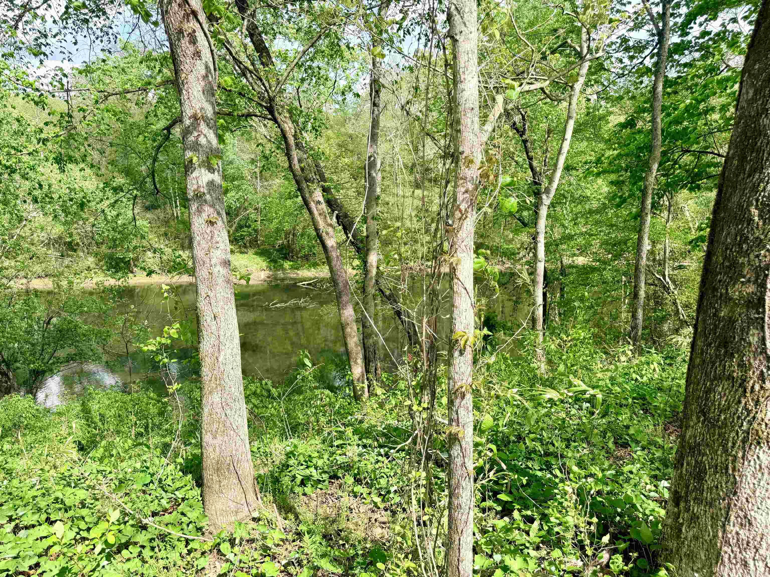 104A Adams  Pangburn, AR