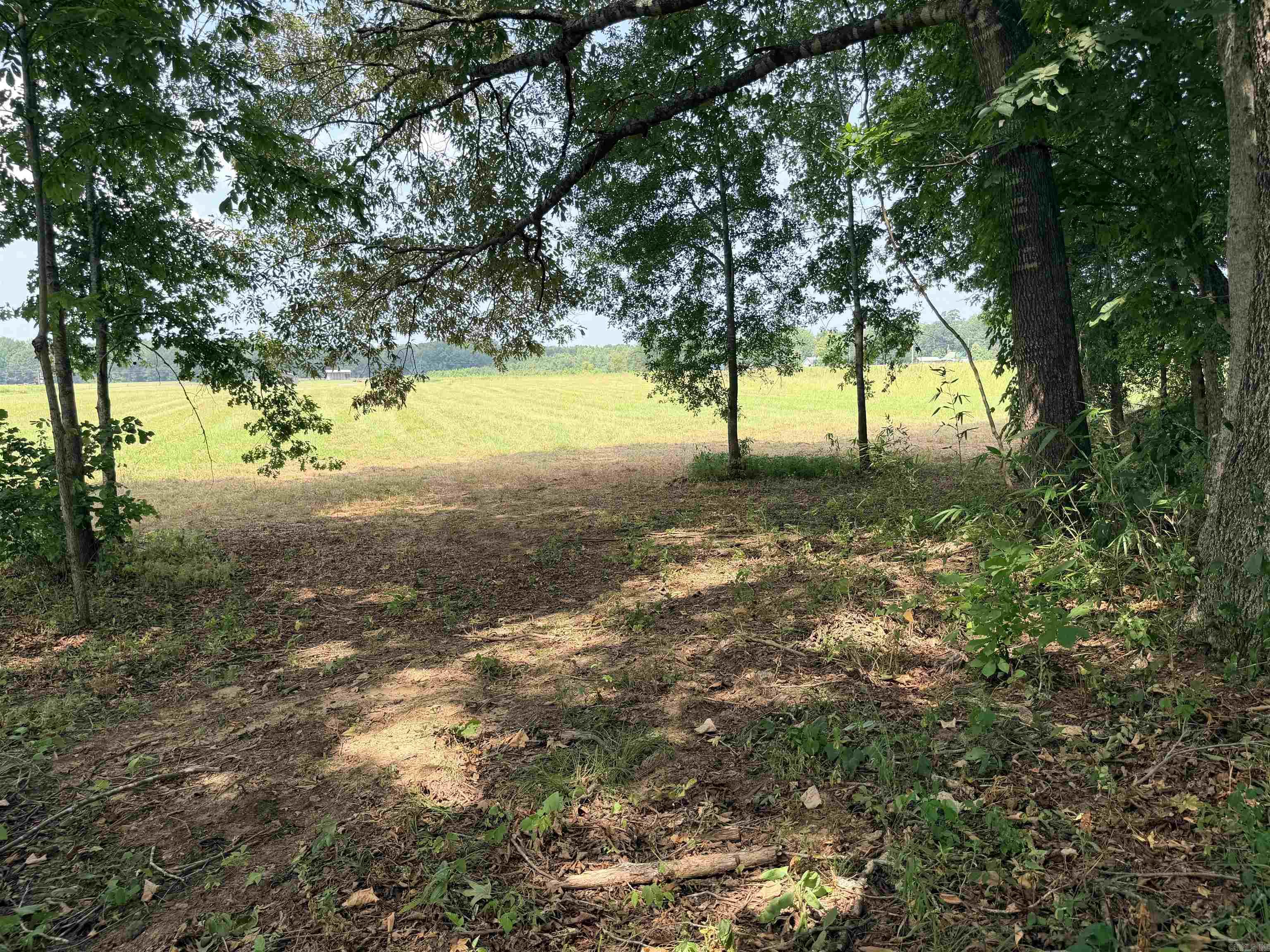 104A Adams  Pangburn, AR