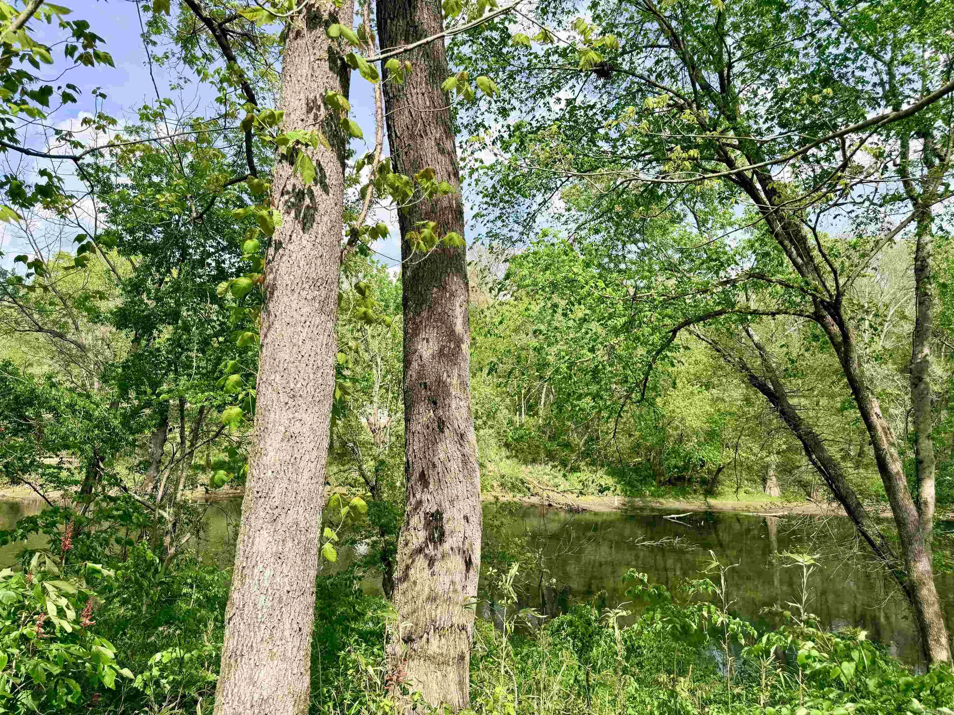 104A Adams  Pangburn, AR