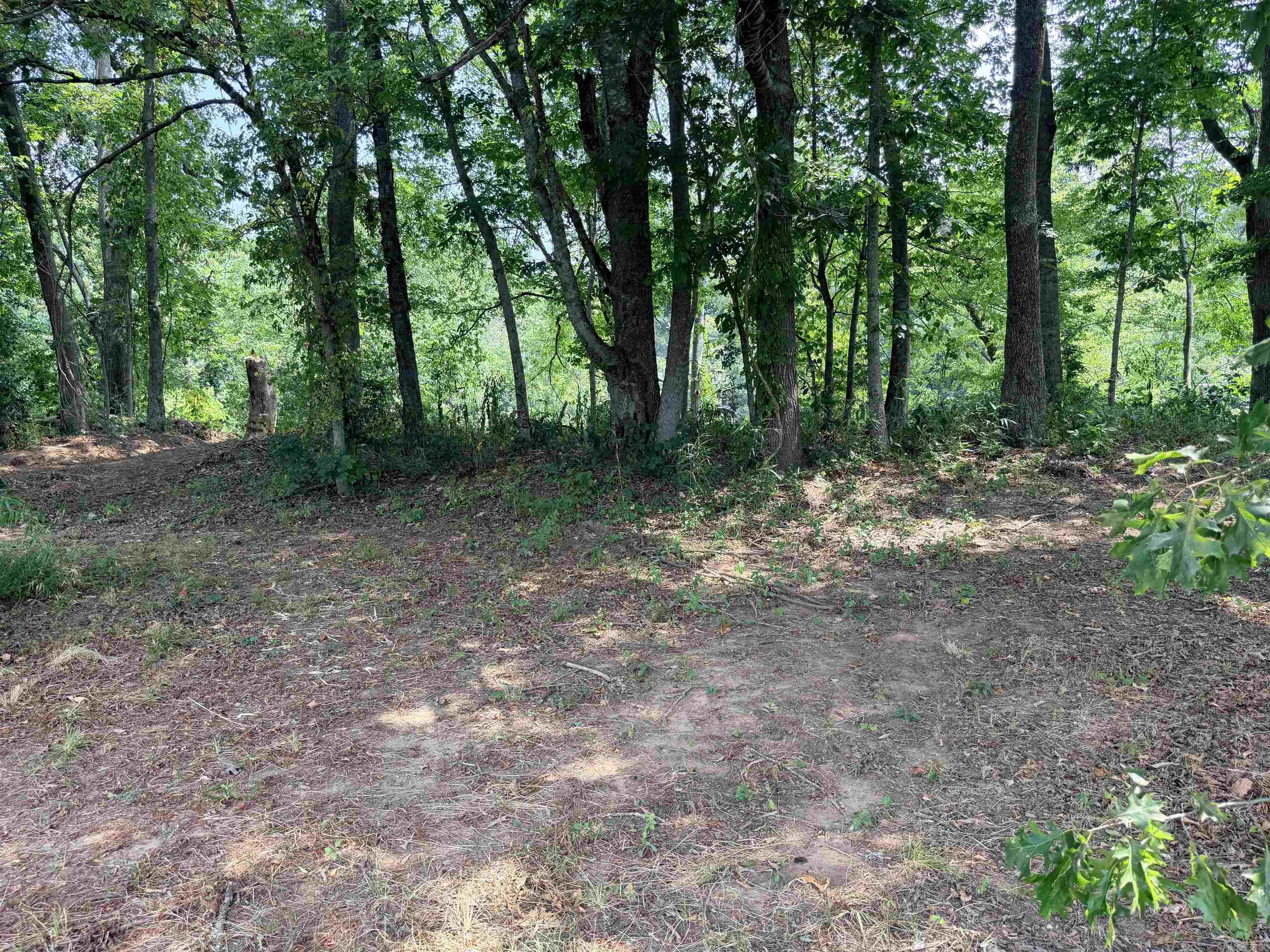 104A Adams  Pangburn, AR