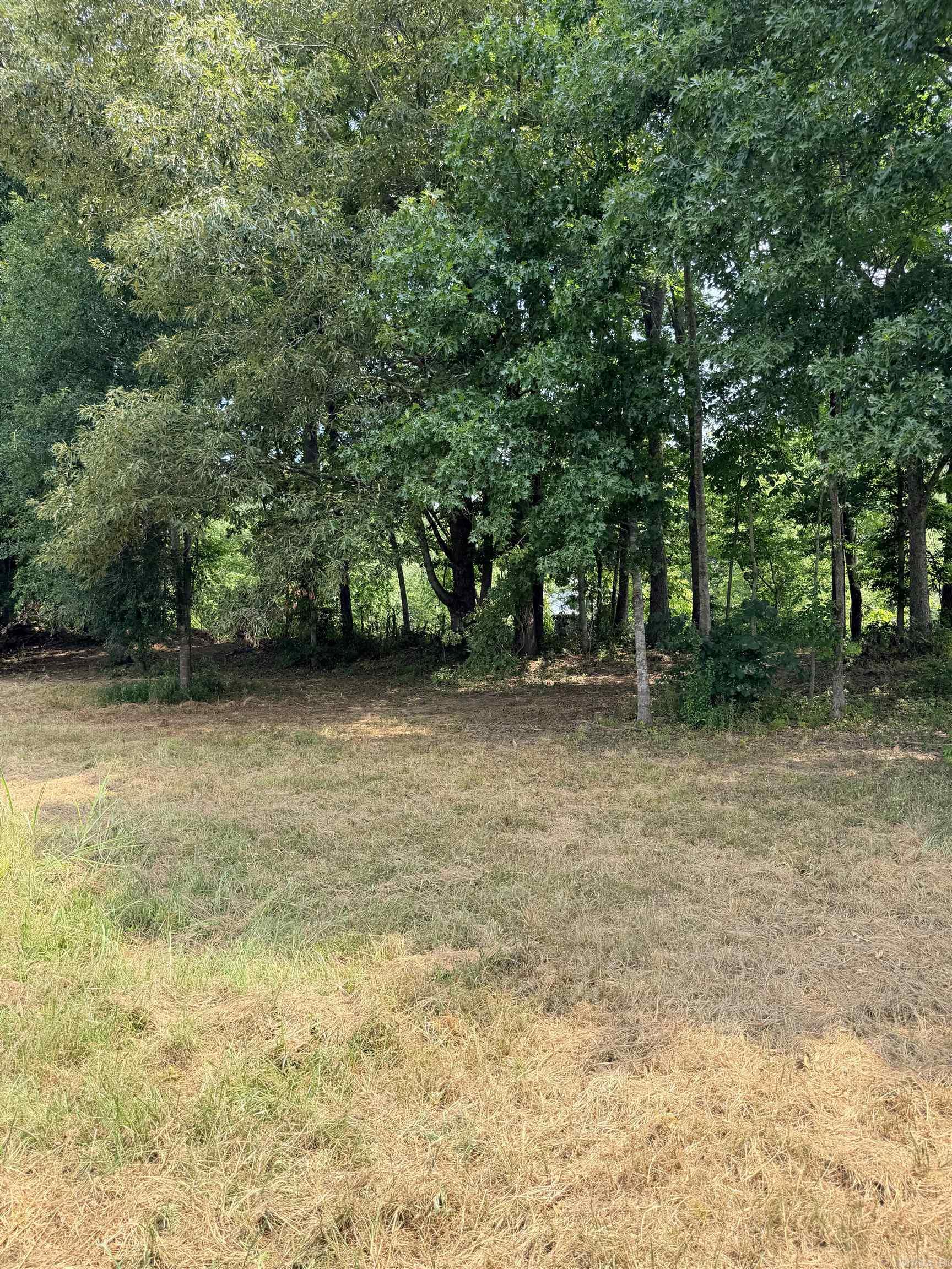 104A Adams  Pangburn, AR