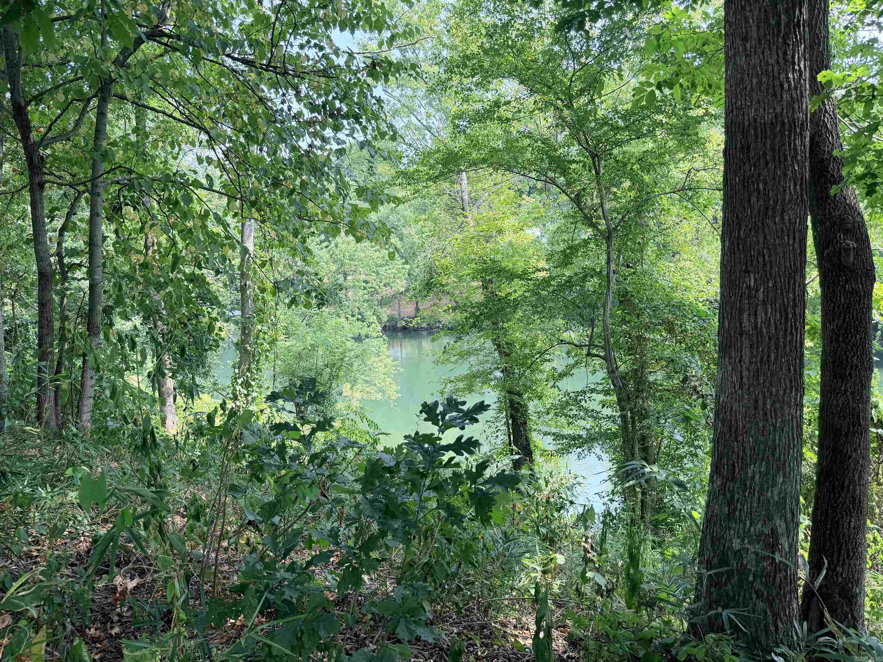 104A Adams  Pangburn, AR