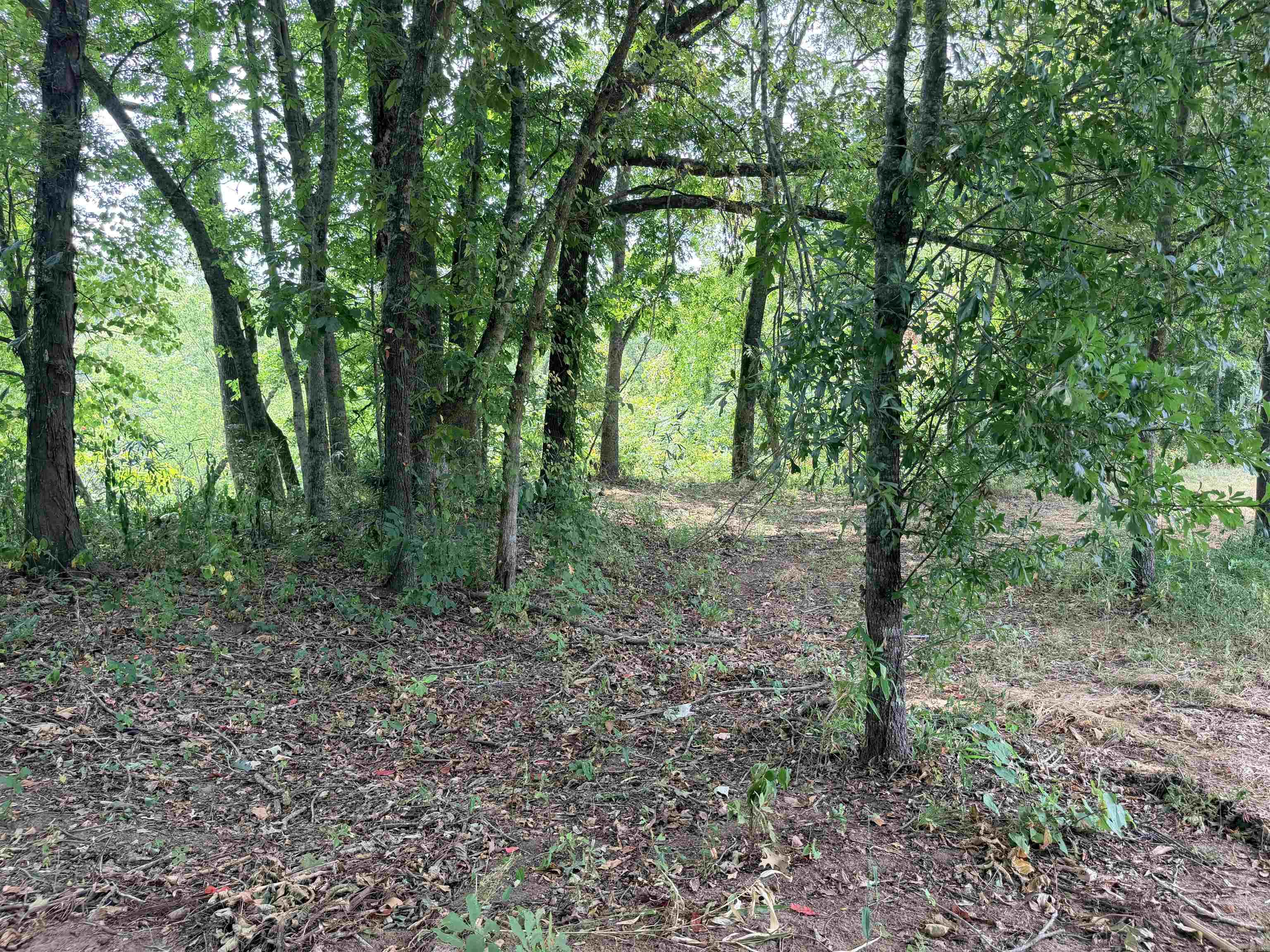 104A Adams  Pangburn, AR