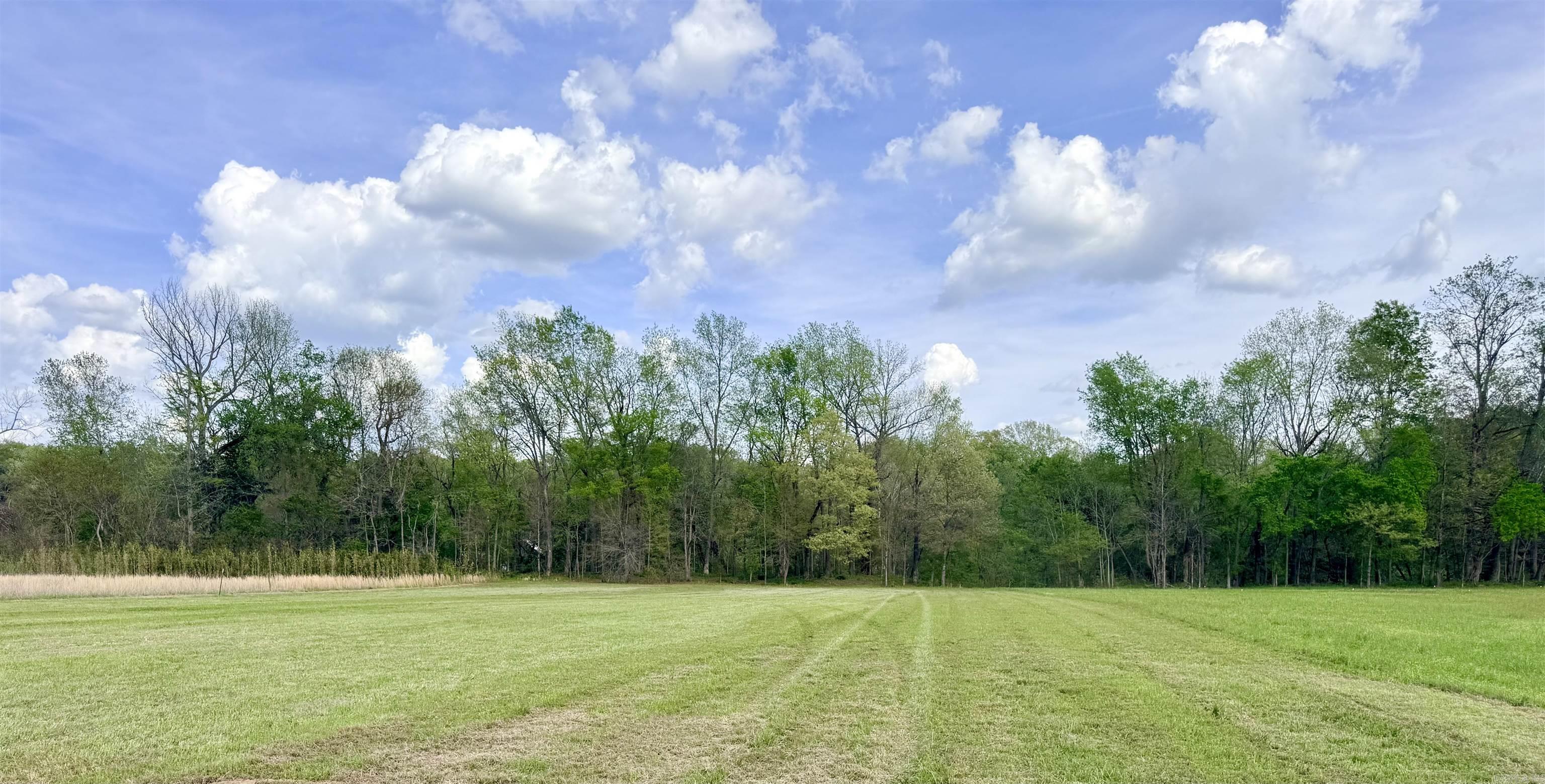 104A Adams  Pangburn, AR