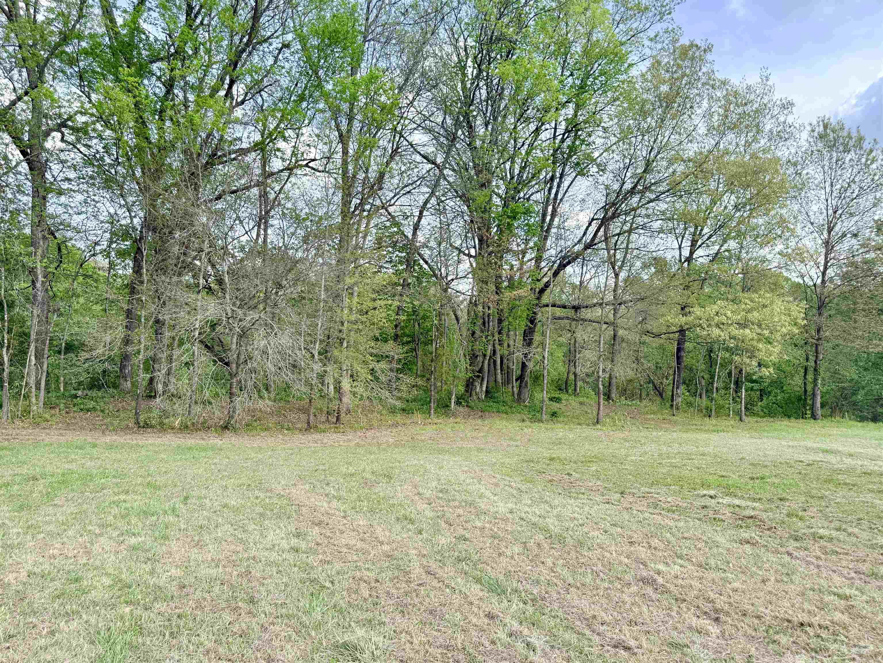 104A Adams  Pangburn, AR