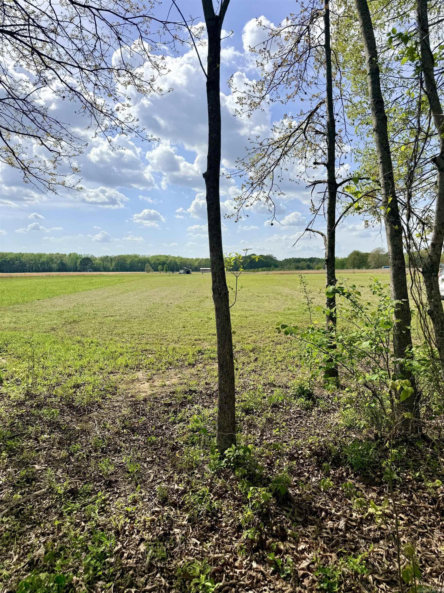 104A Adams  Pangburn, AR