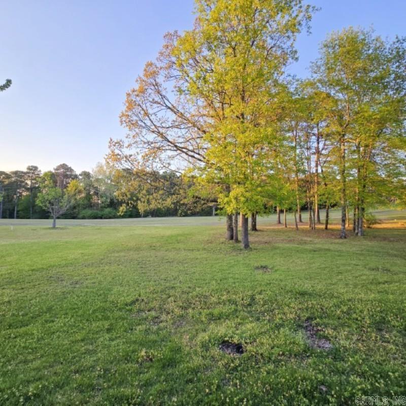 118 Deer Run Fairfield Bay, AR 72088