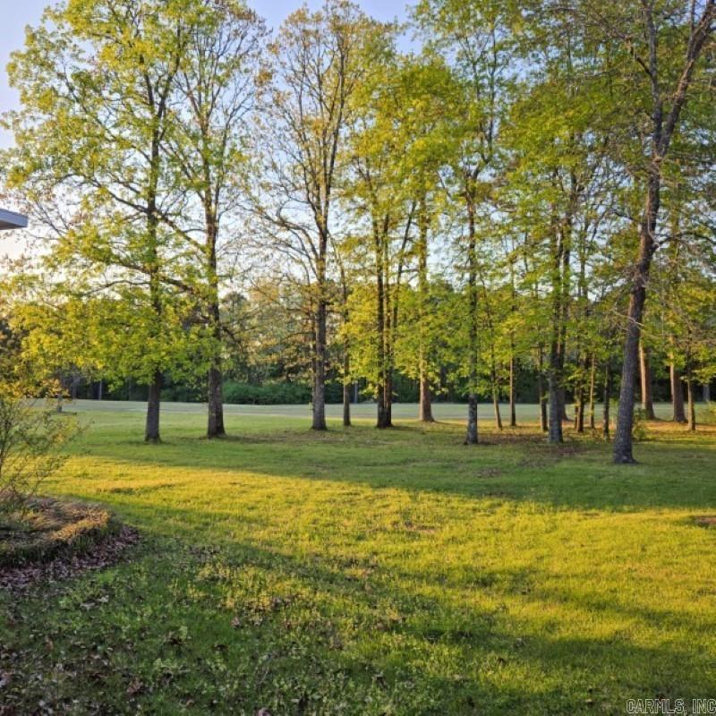 118 Deer Run Fairfield Bay, AR 72088