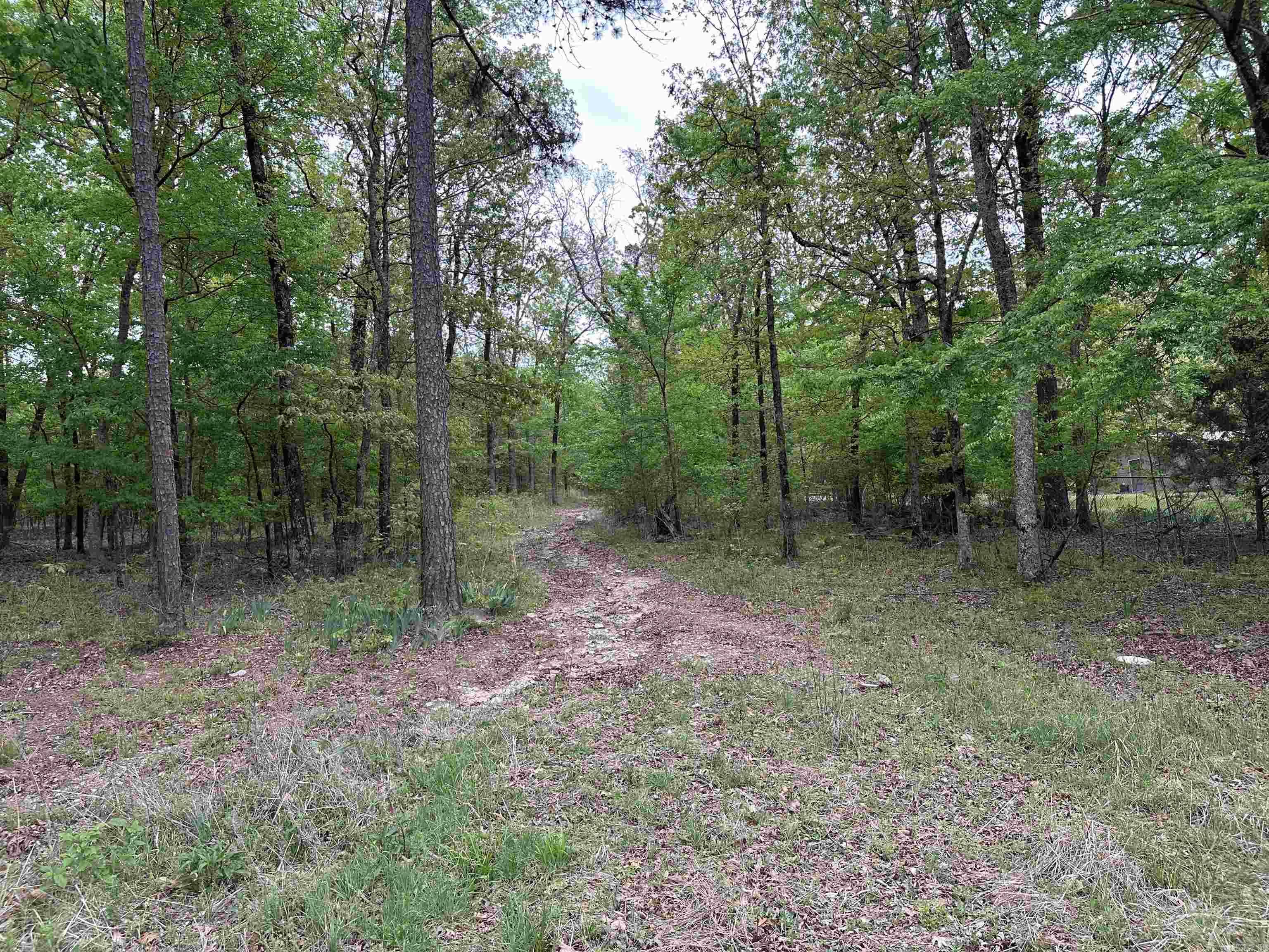  Asbury  Magnet Cove, AR