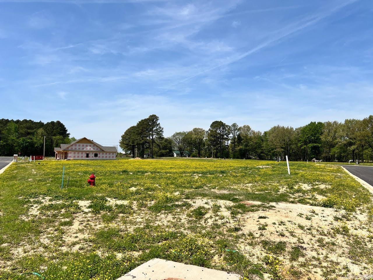 111 Horseshoe Creek  Brookland, AR