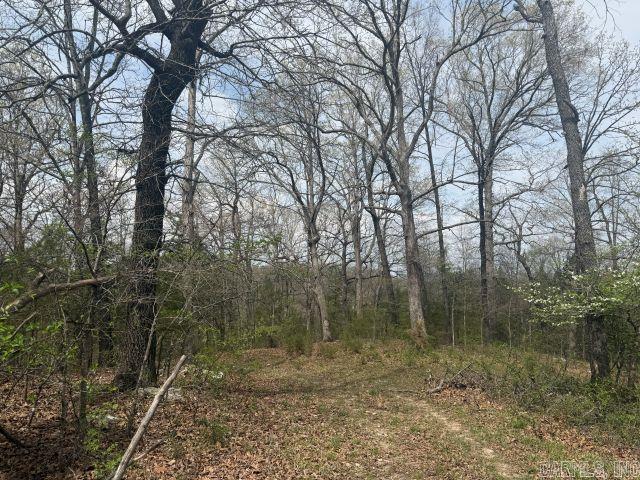 245 Hay Meadow  Yellville, AR