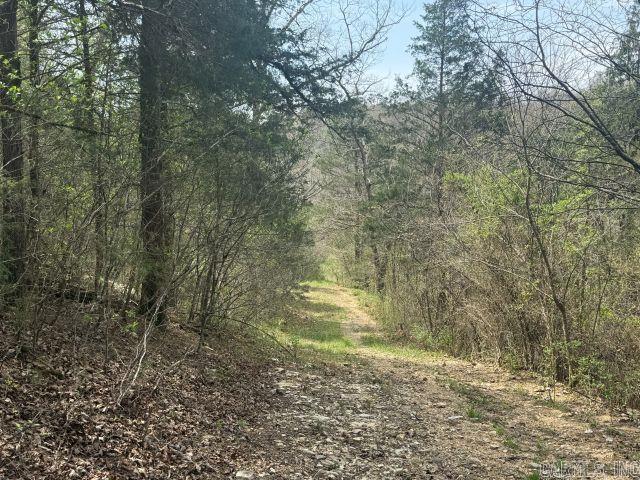 245 Hay Meadow  Yellville, AR