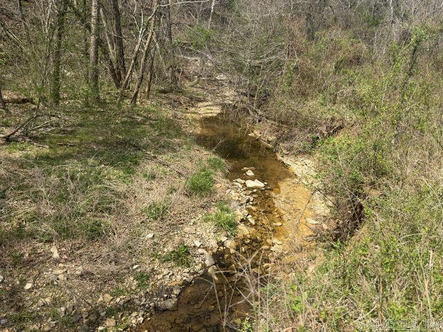 245 Hay Meadow  Yellville, AR