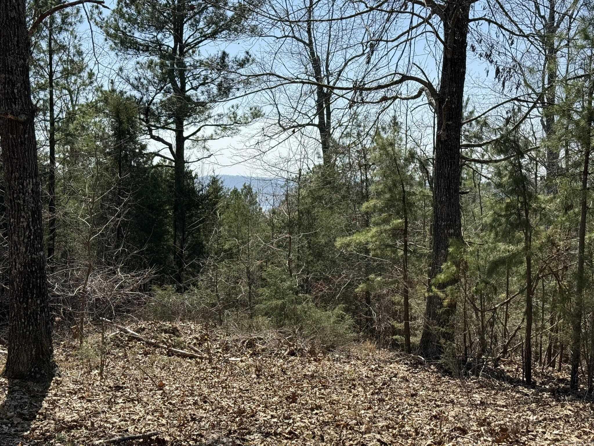000 Foxcroft  Elizabeth, AR