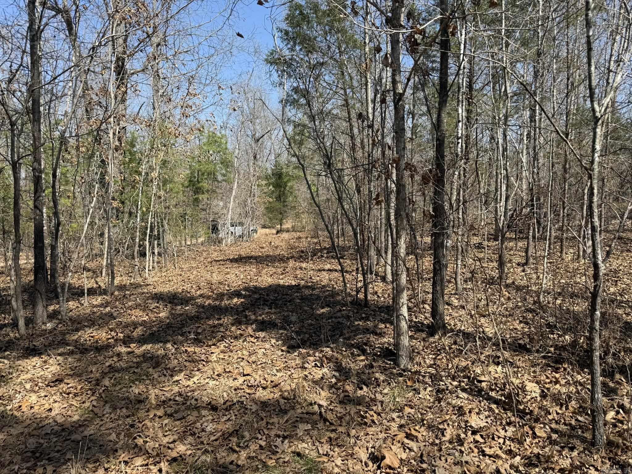 000 Foxcroft  Elizabeth, AR