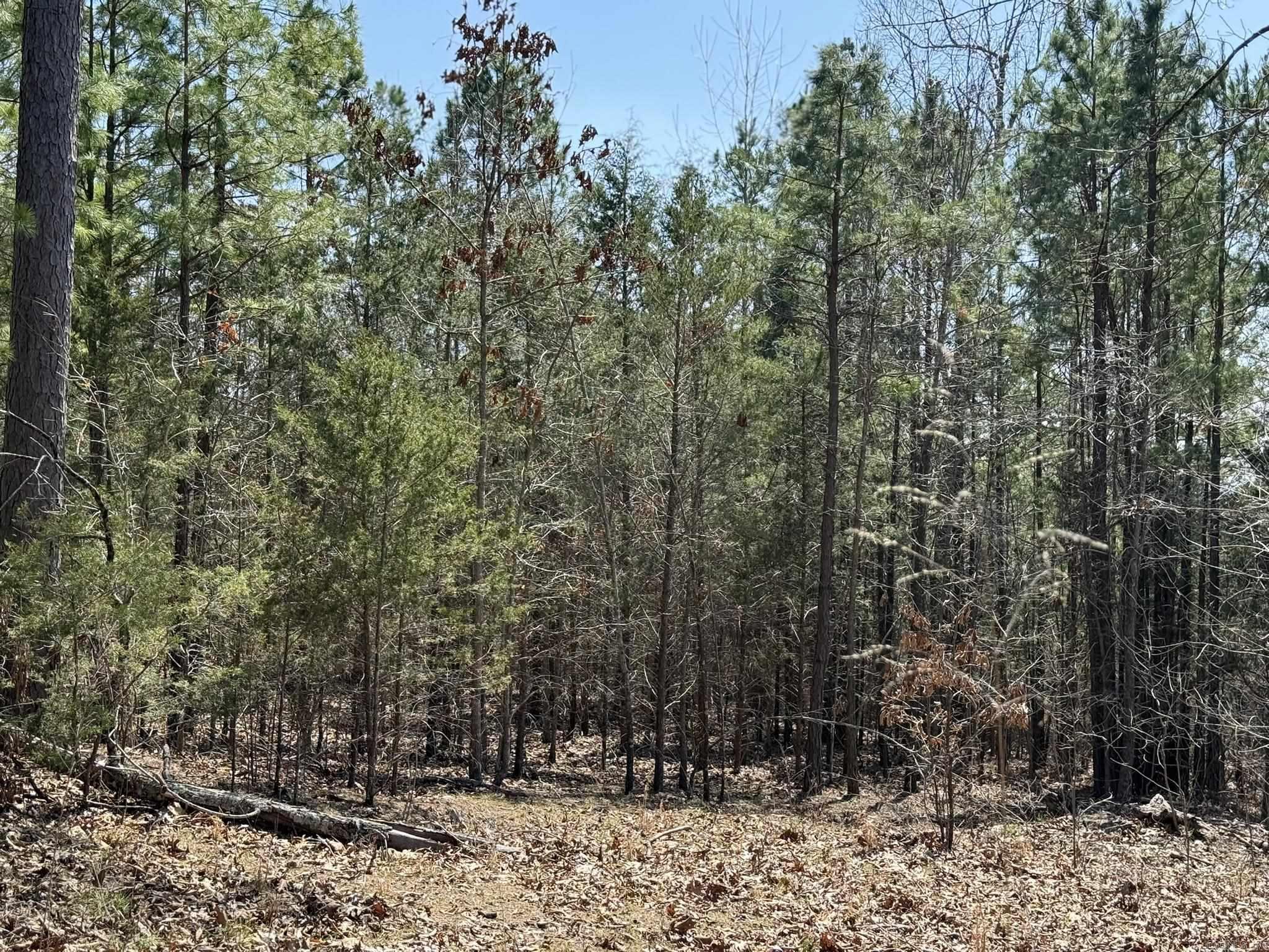 000 Foxcroft  Elizabeth, AR