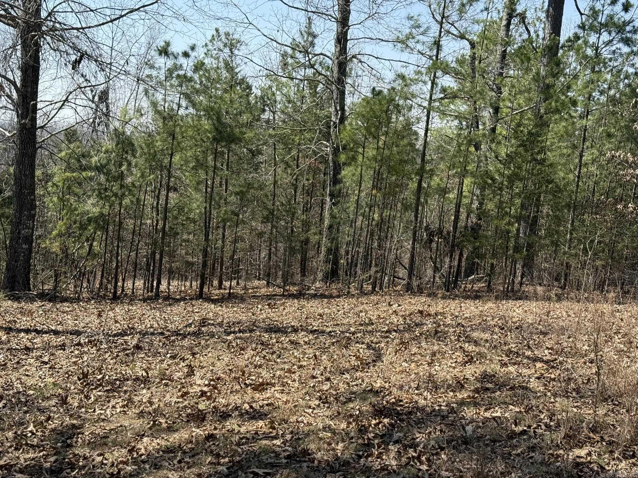 000 Foxcroft  Elizabeth, AR