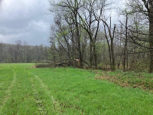 000 Booth Creek Road  Williford, AR