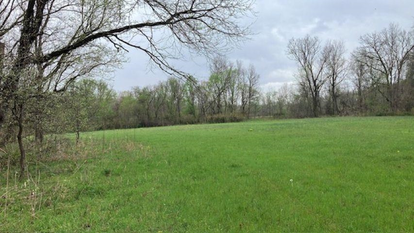 000 Booth Creek Road  Williford, AR