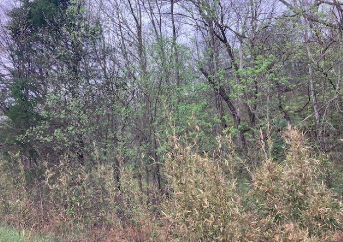 000 Booth Creek Road  Williford, AR
